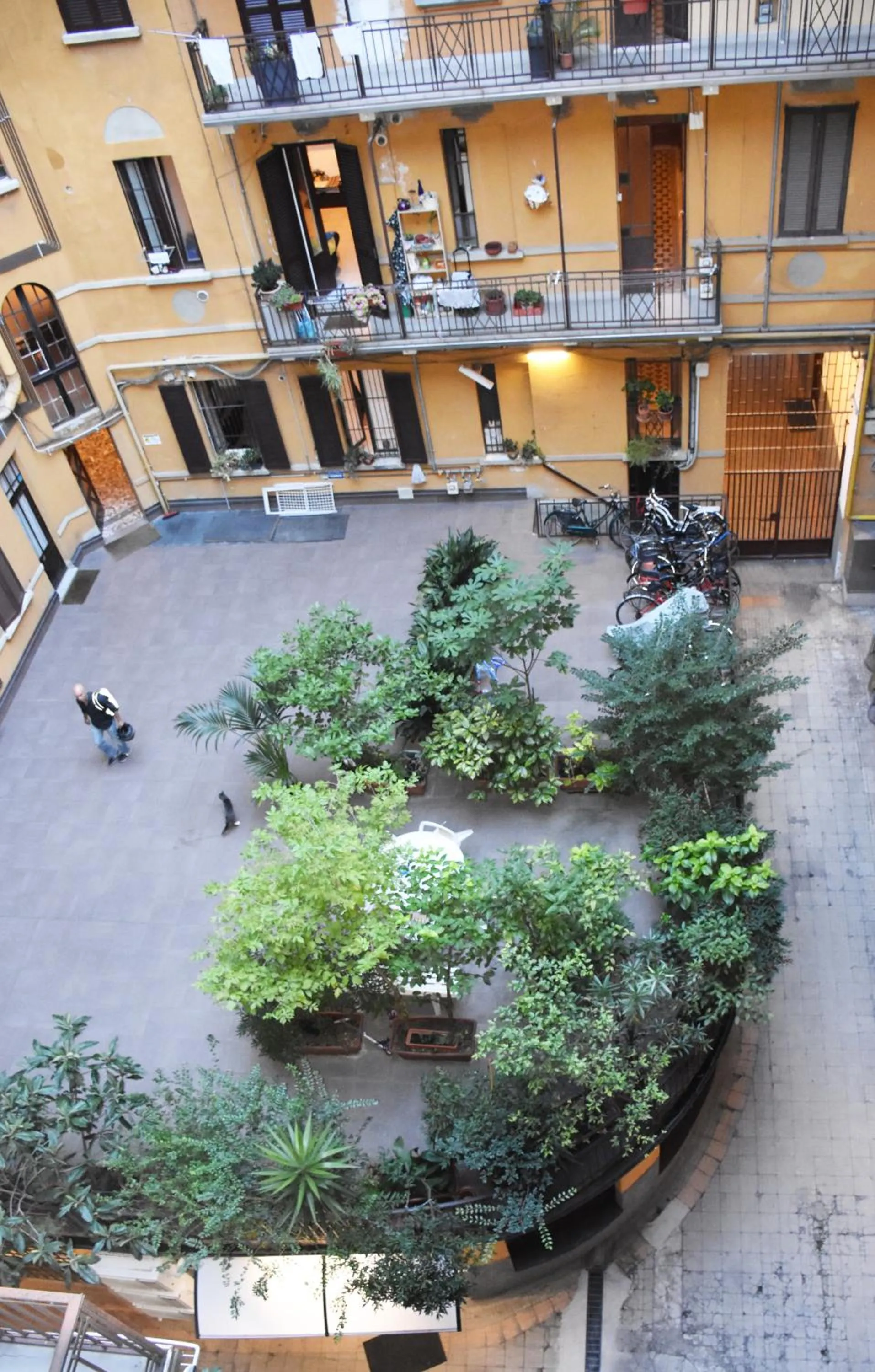 Garden in House of Frames