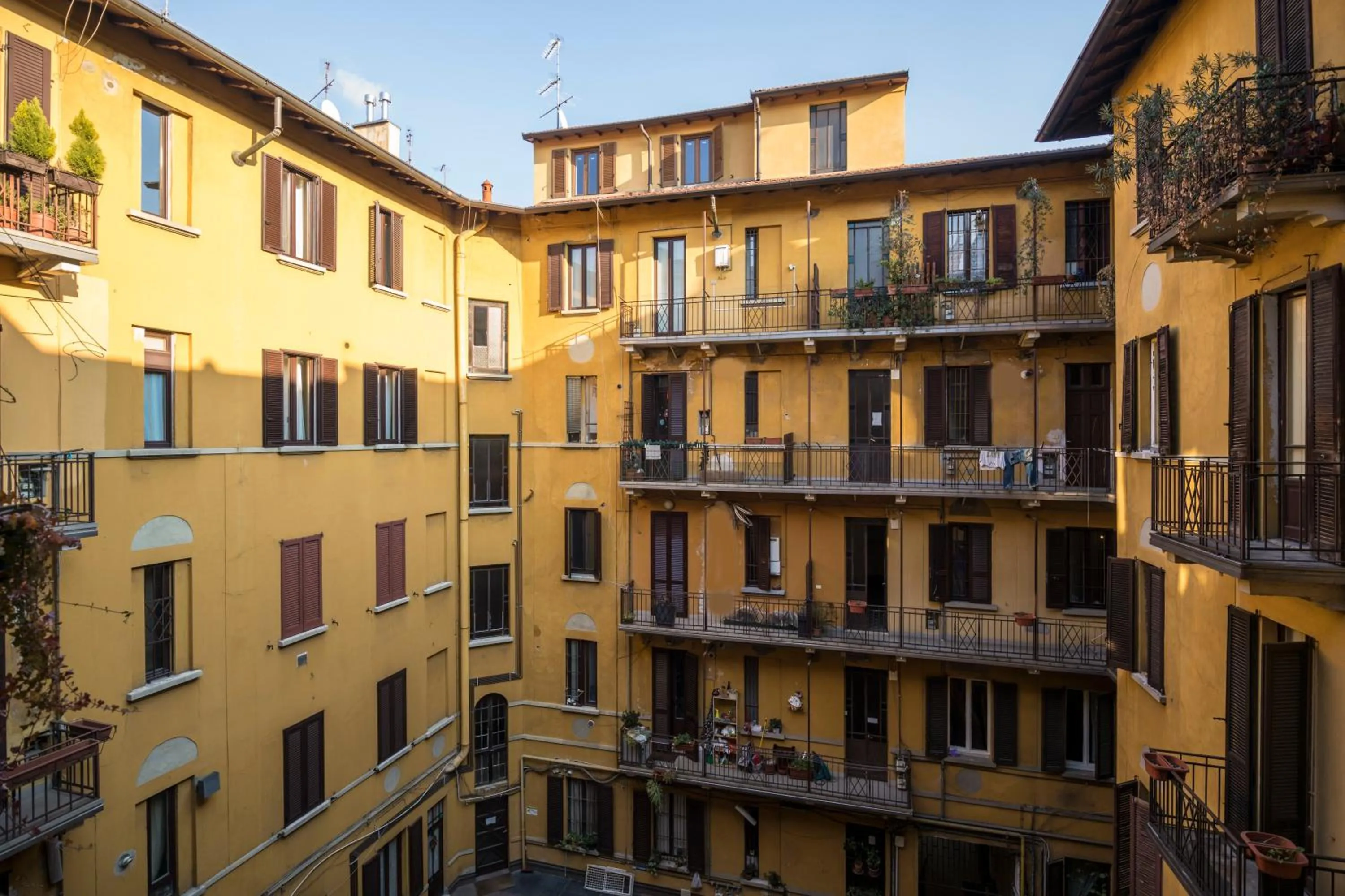 Garden in House of Frames