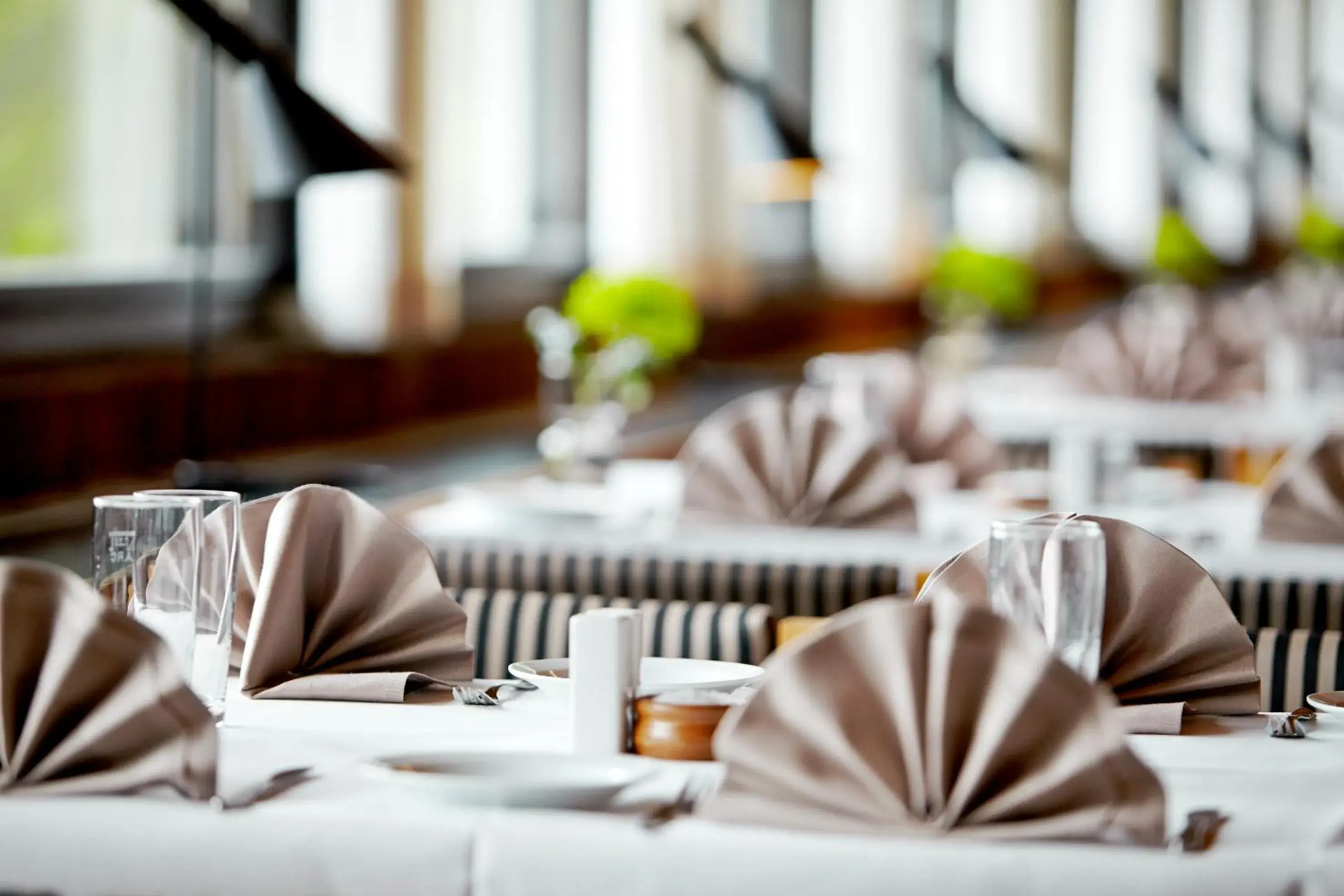 Restaurant/places to eat in Munkebjerg Hotel Restaurant/places to eat in Munkebjerg Hotel