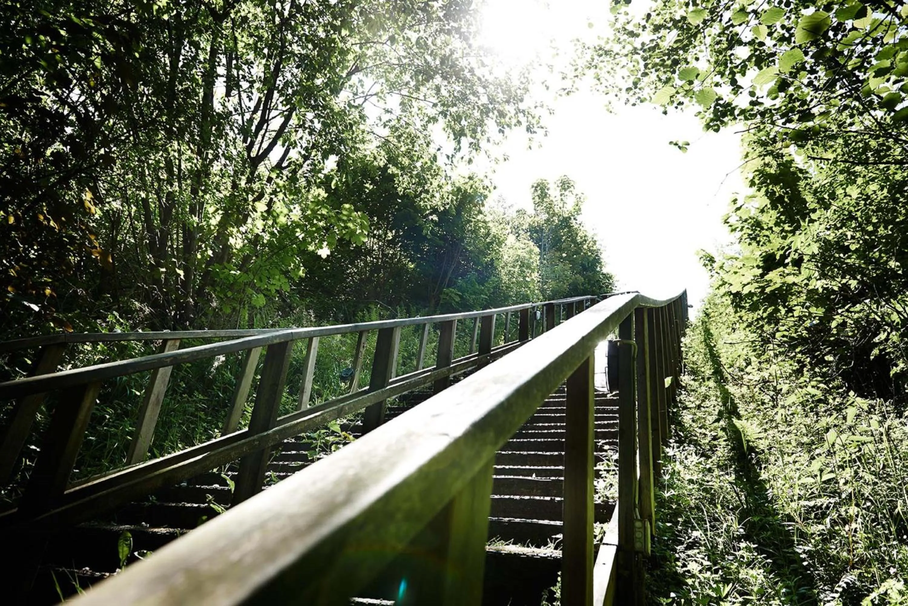 Area and facilities in Munkebjerg Hotel