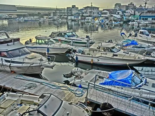 Natural landscape in Hinode House