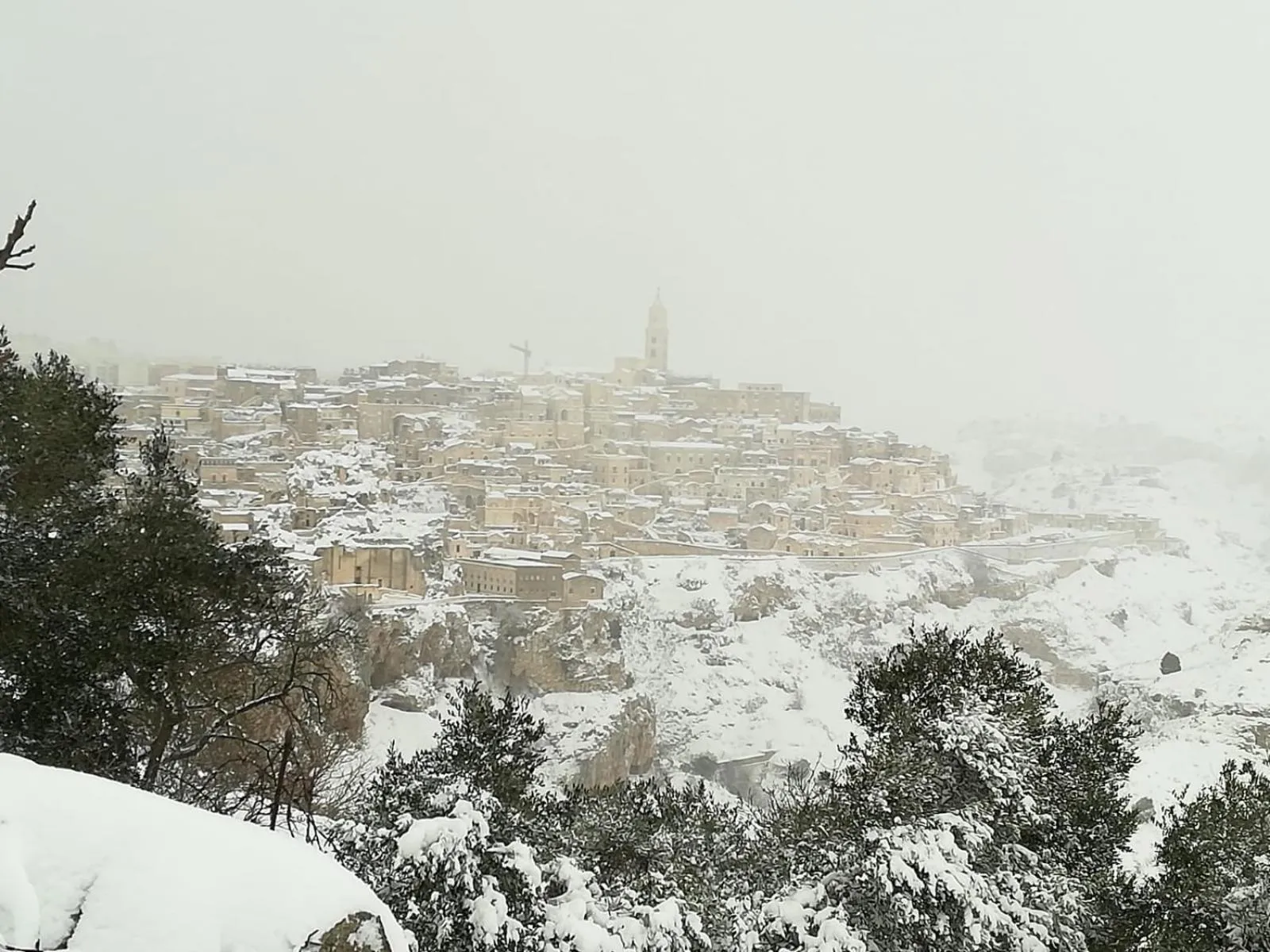 Day in Il Trifoglio