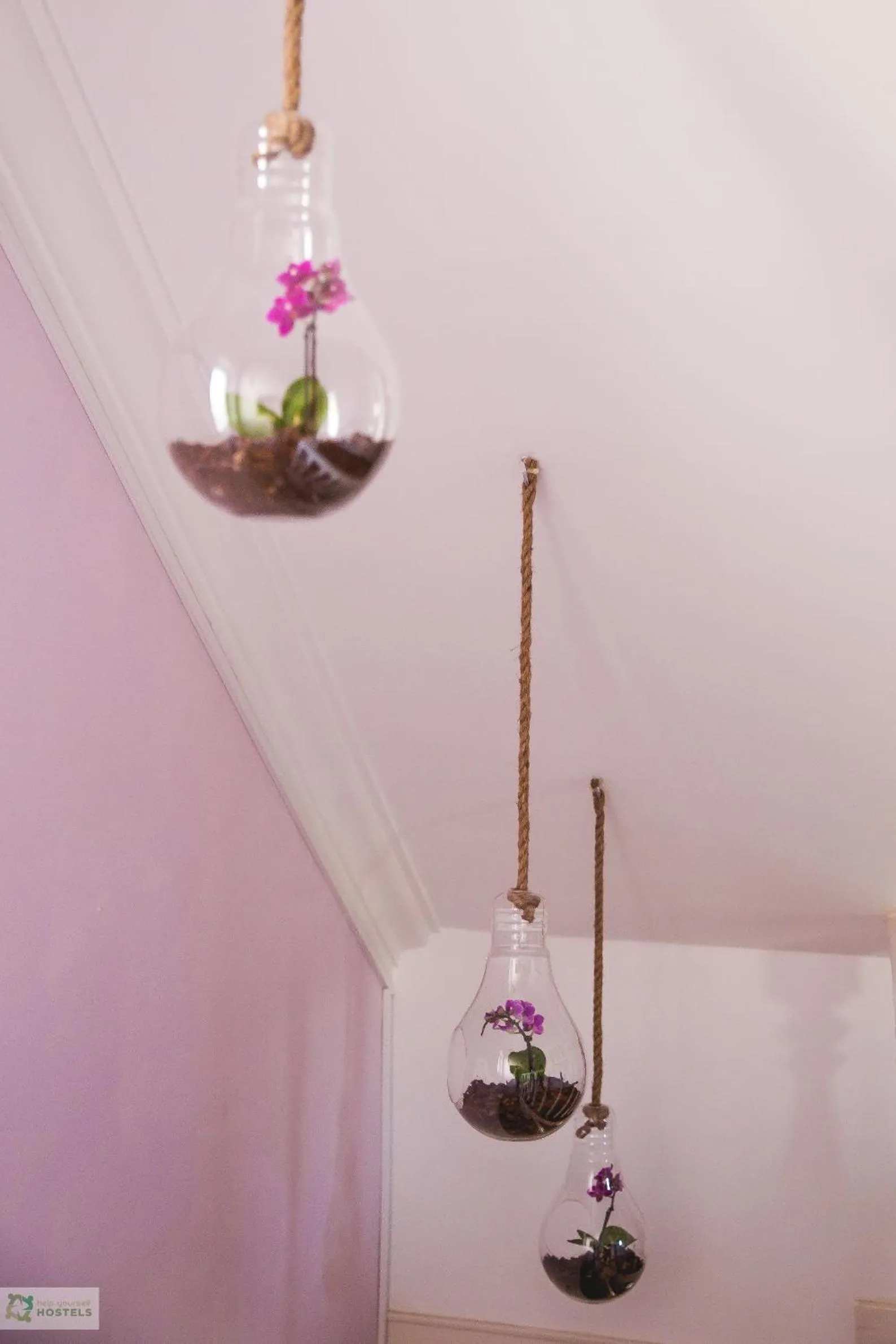 Decorative detail in Help Yourself Hostels - Carcavelos Coast