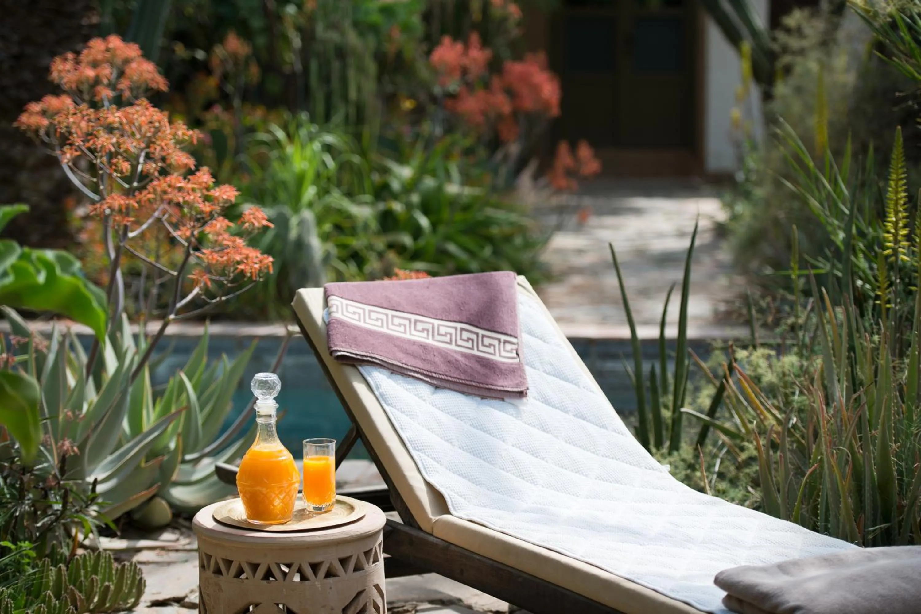 Garden view in Dar al Hossoun