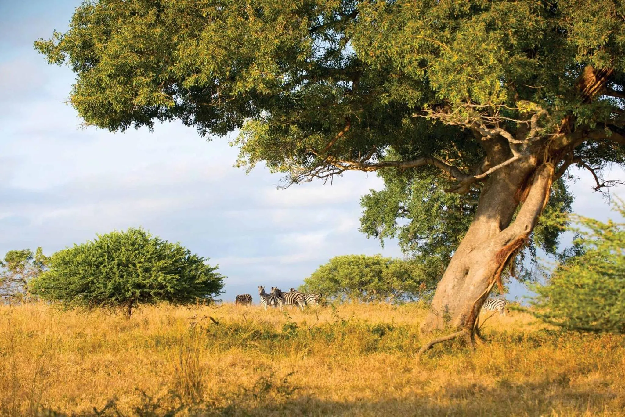 Motlala Game Lodge