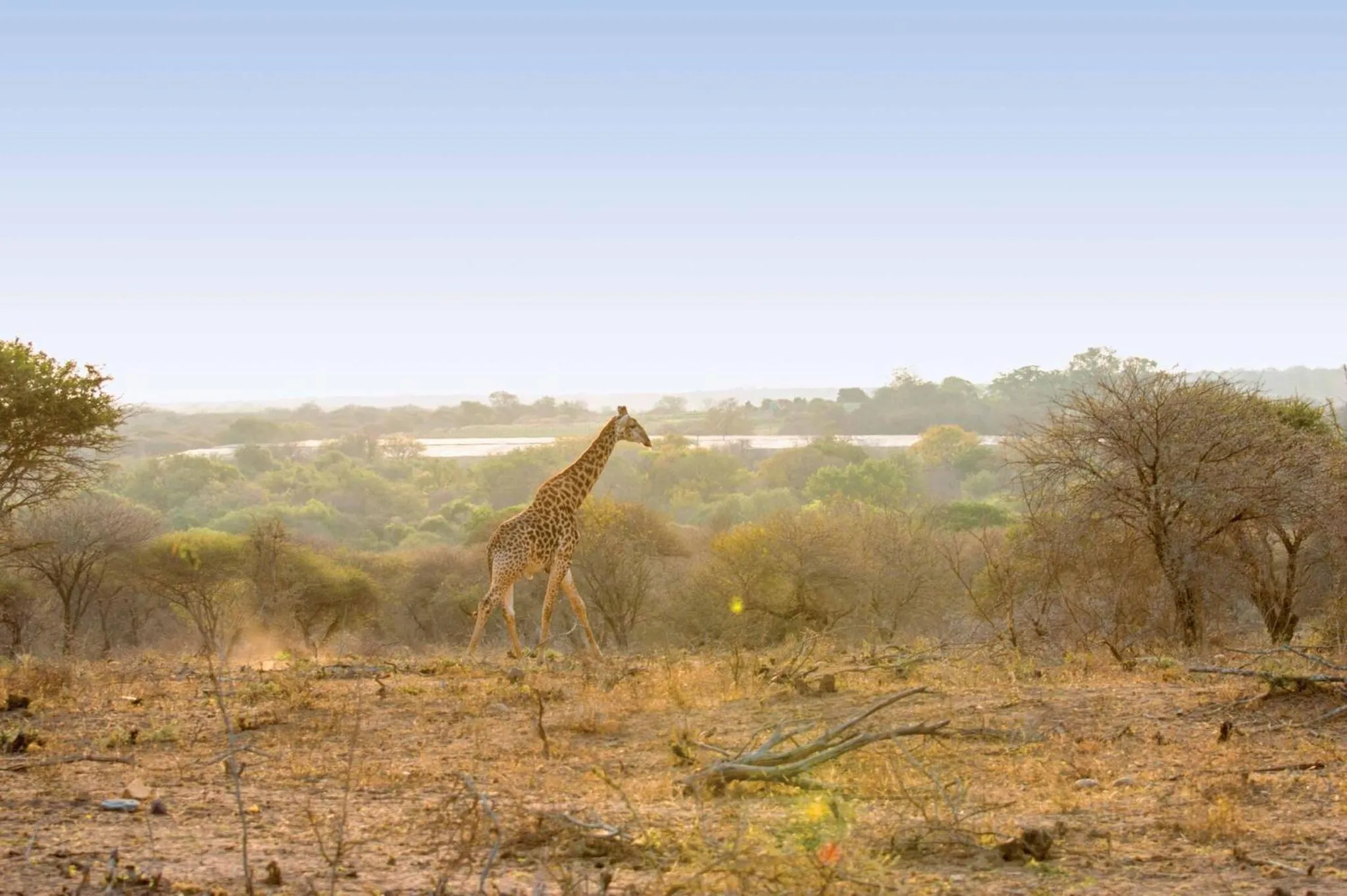 Motlala Game Lodge