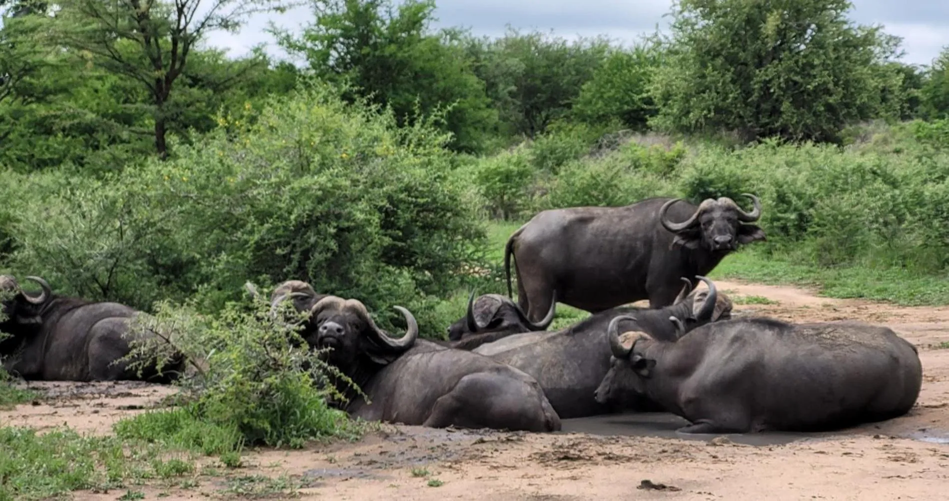 Motlala Game Lodge