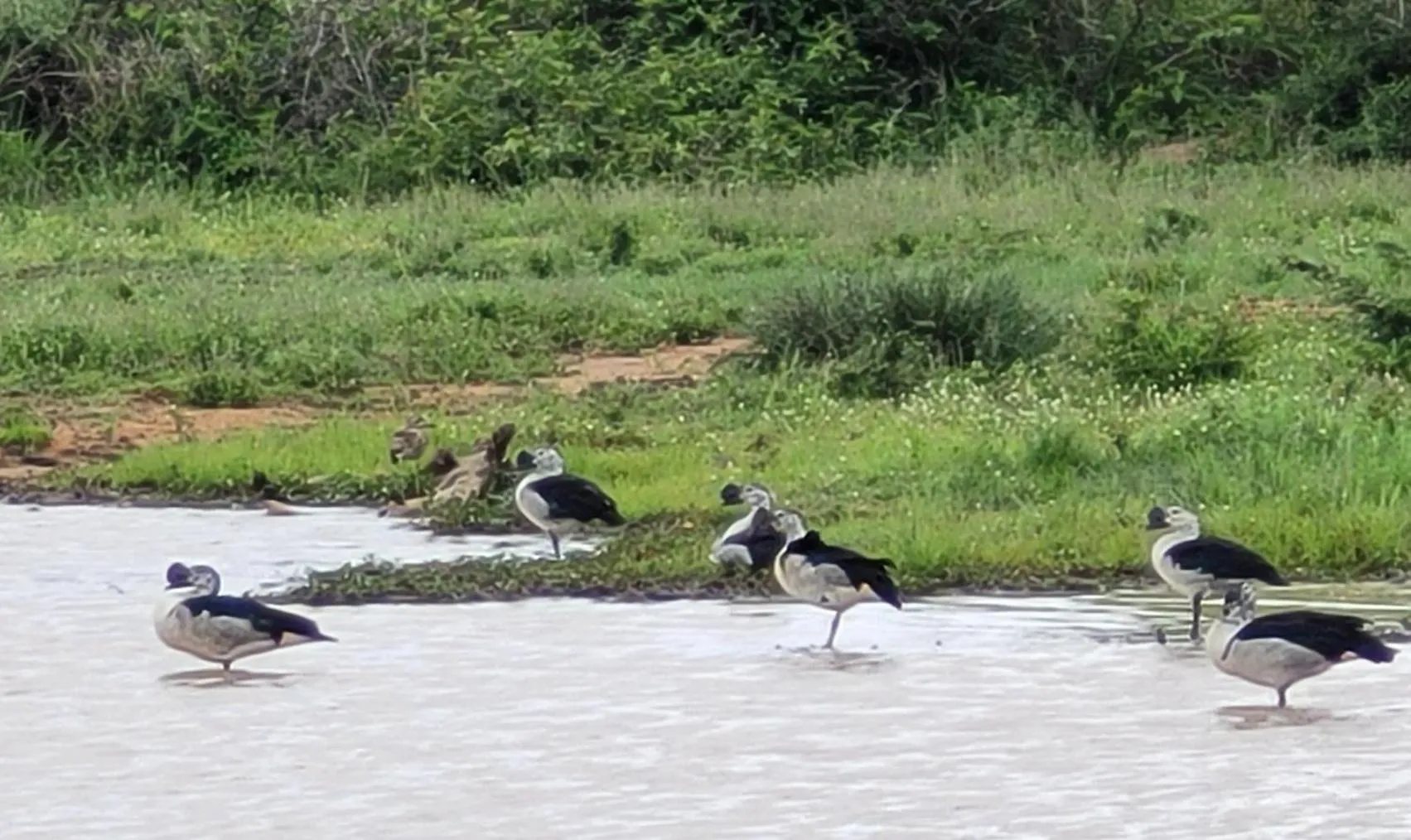 Motlala Game Lodge