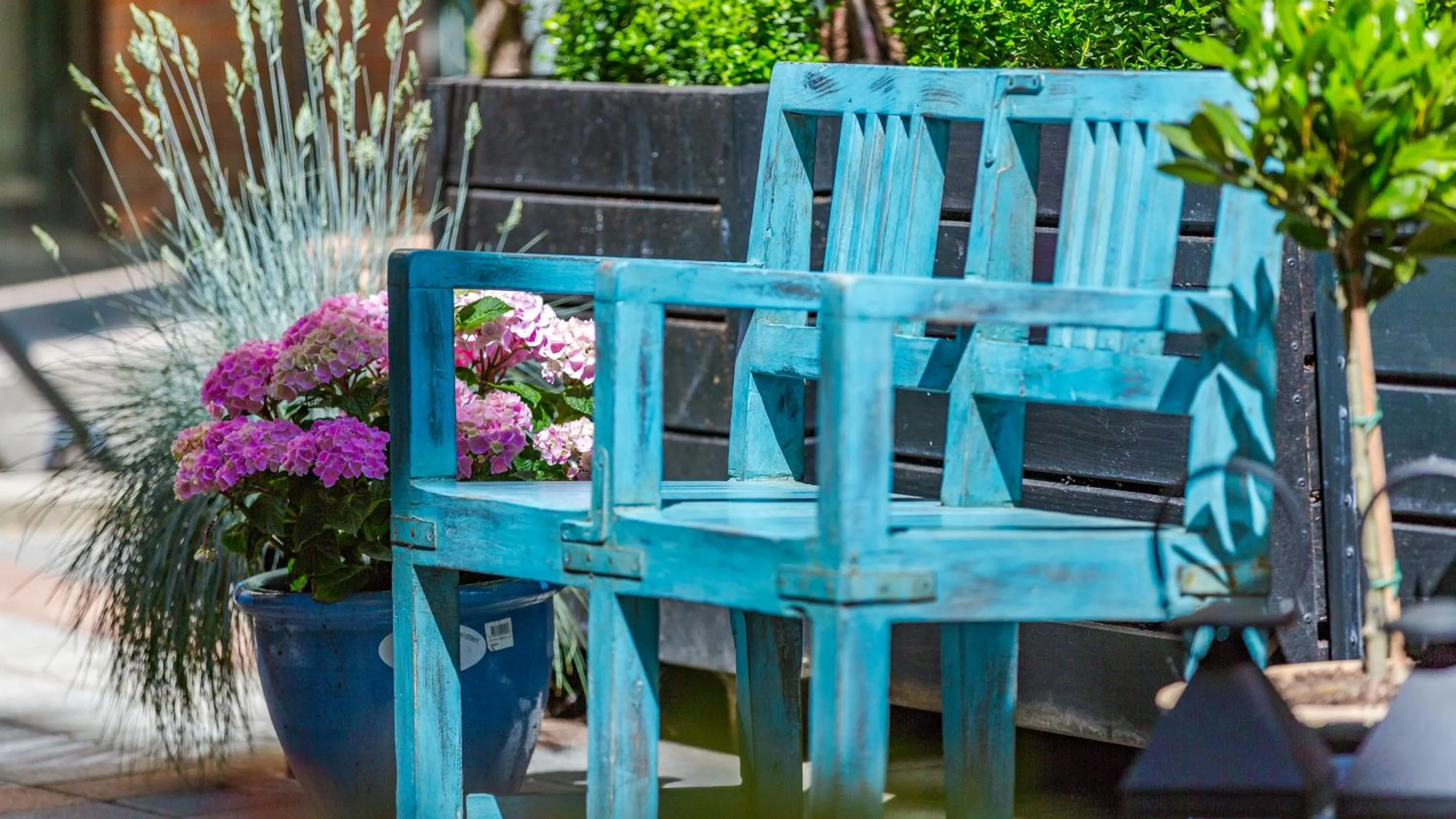 Garden in Best Western Hotel Hebron