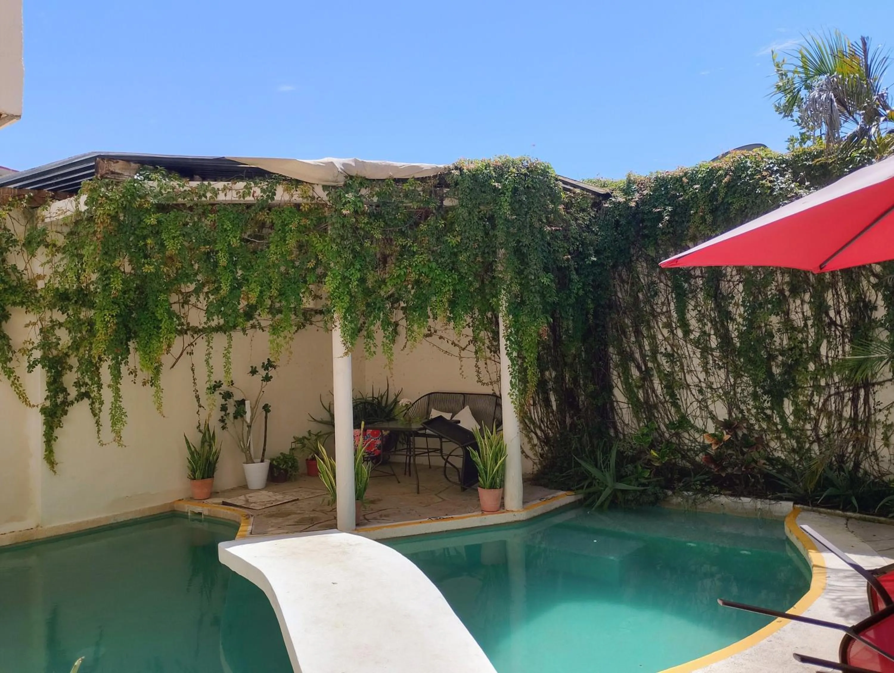Swimming pool in Bed and Breakfast Pecarí