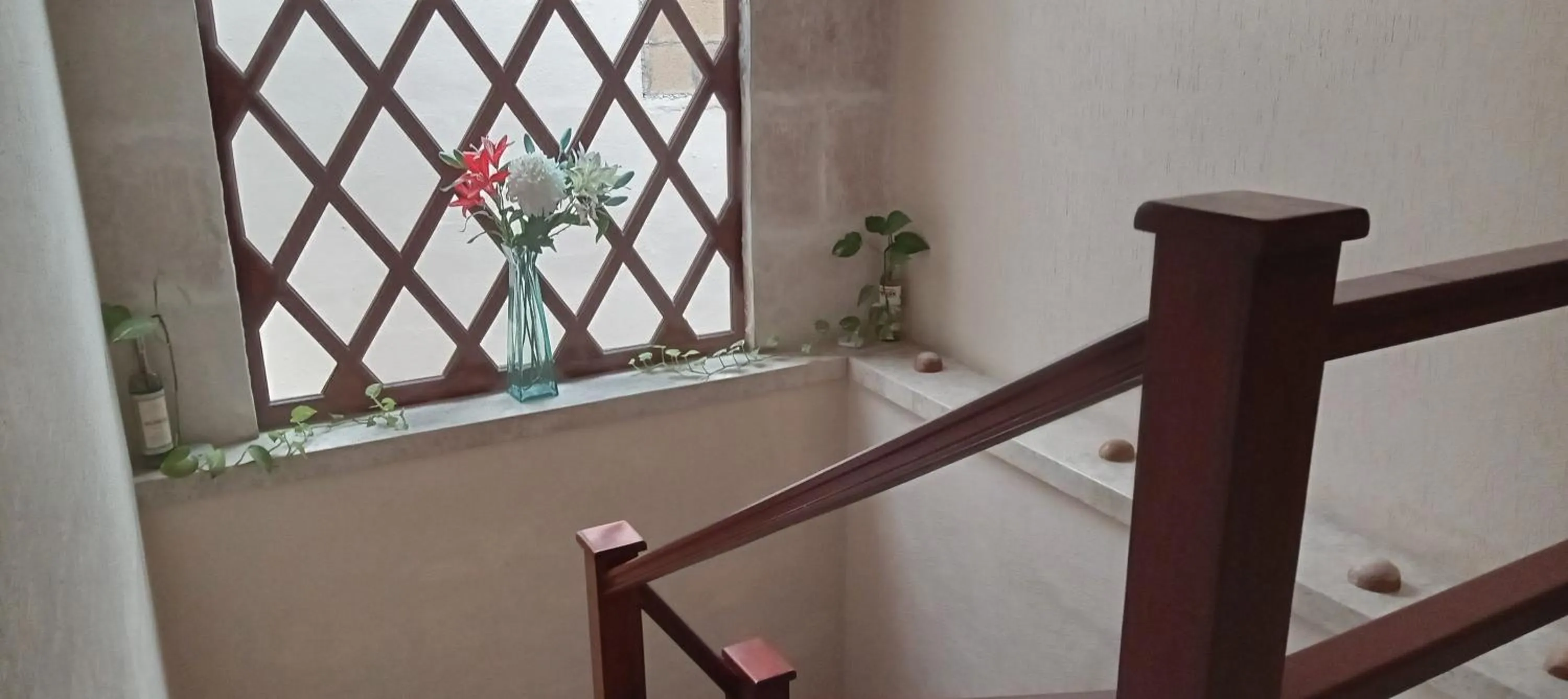 Property building in Bed and Breakfast Pecarí