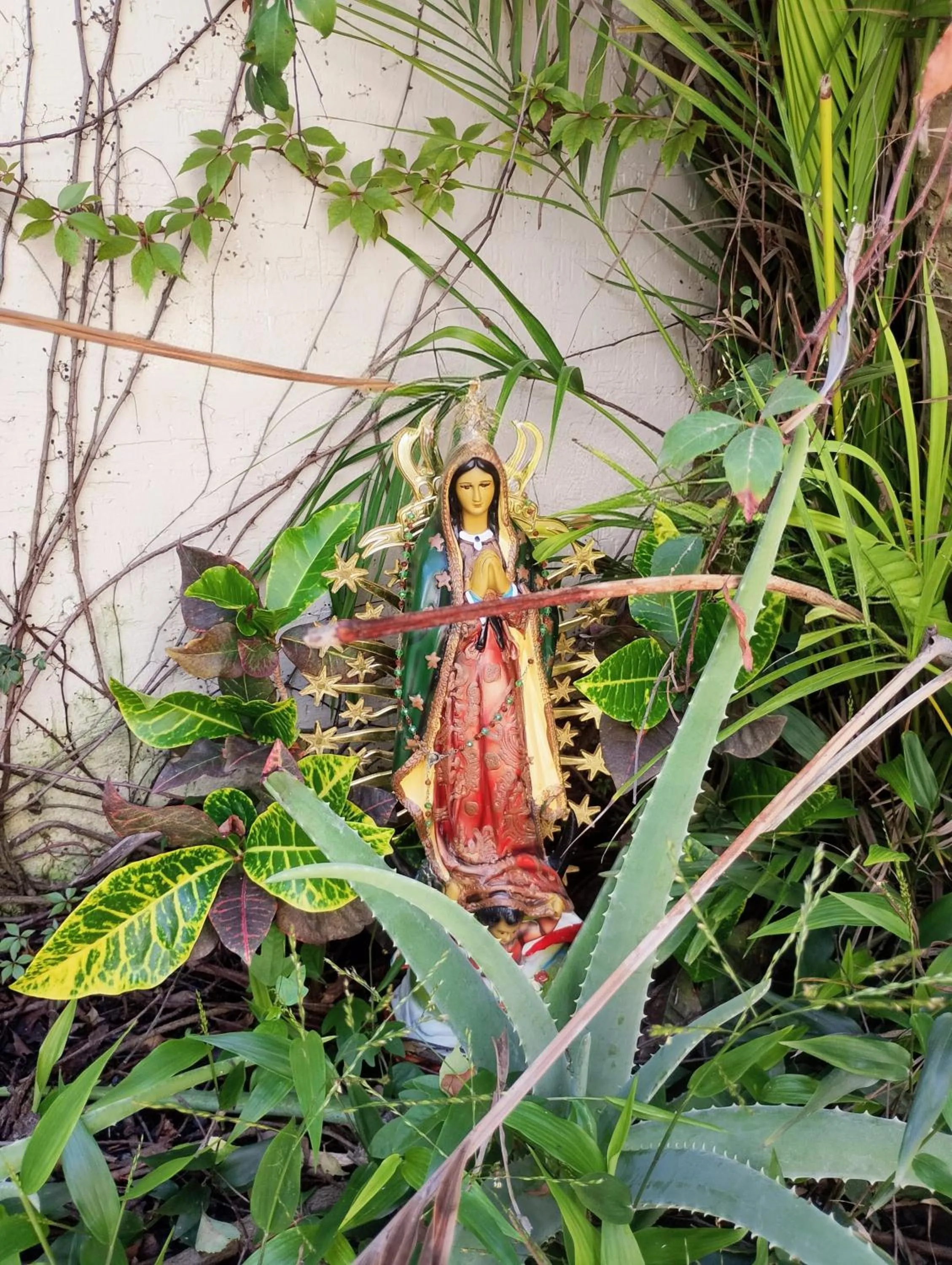 Garden in Bed and Breakfast Pecarí