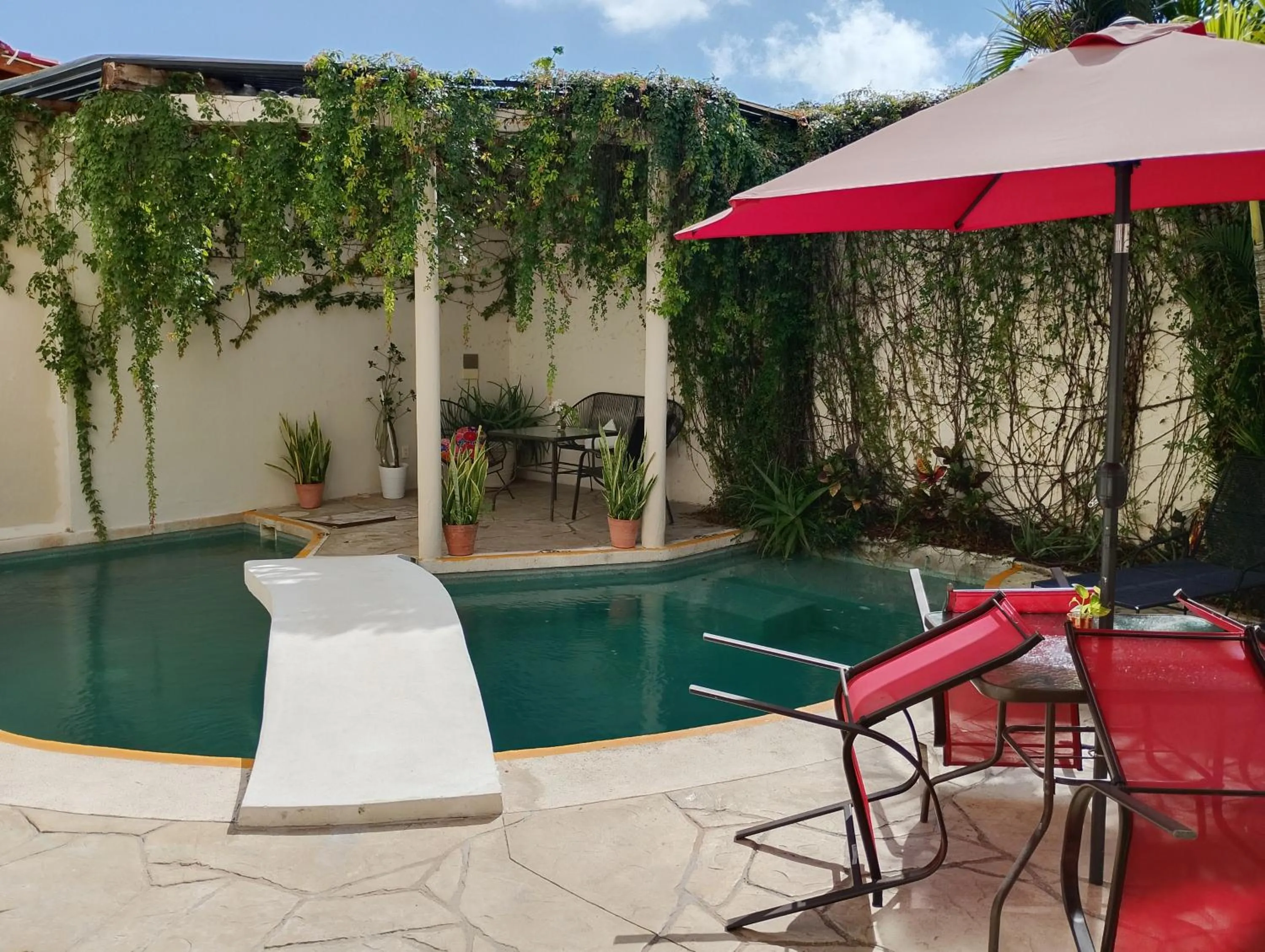Swimming pool in Bed and Breakfast Pecarí
