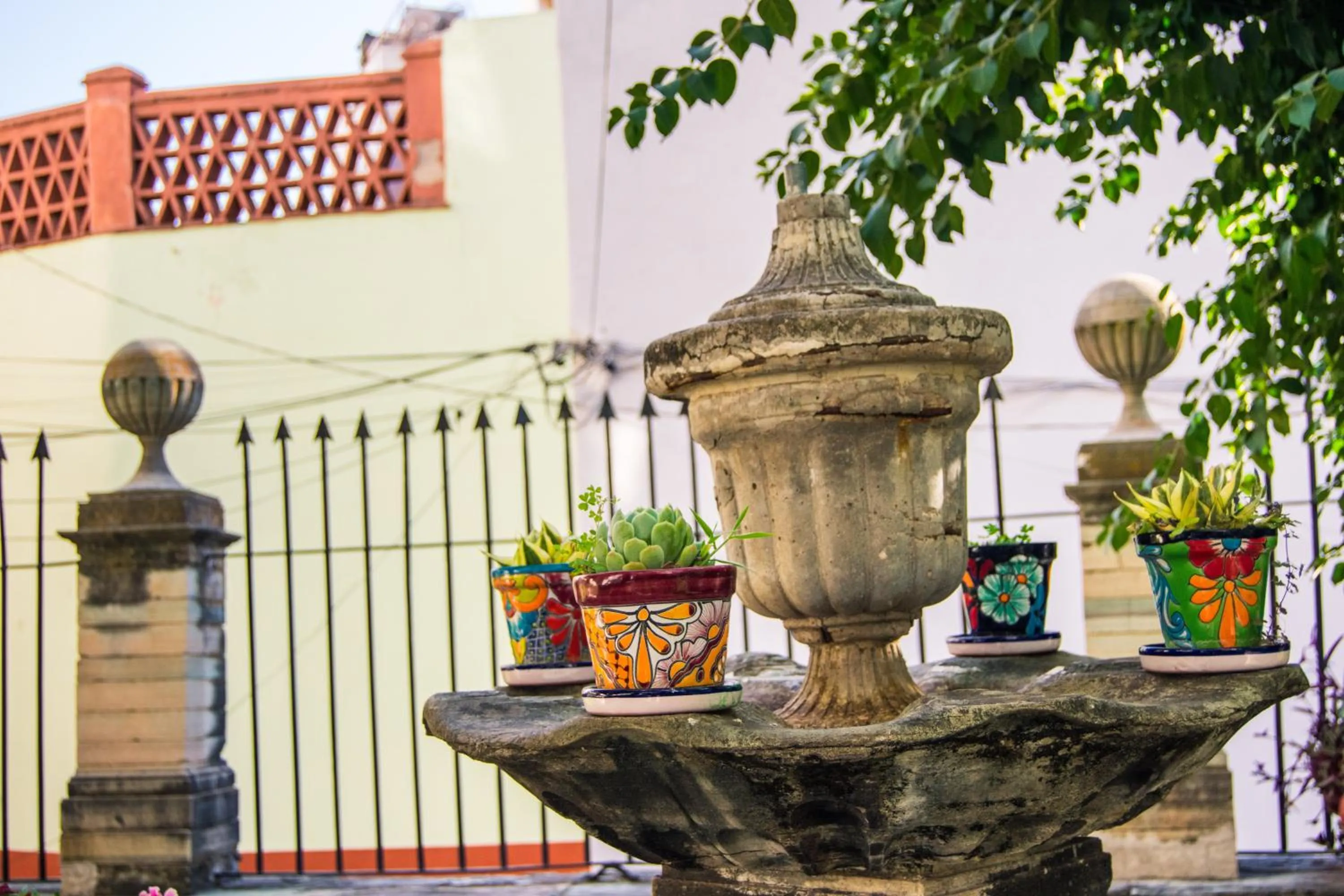 Patio in Casa Lupita Hostel