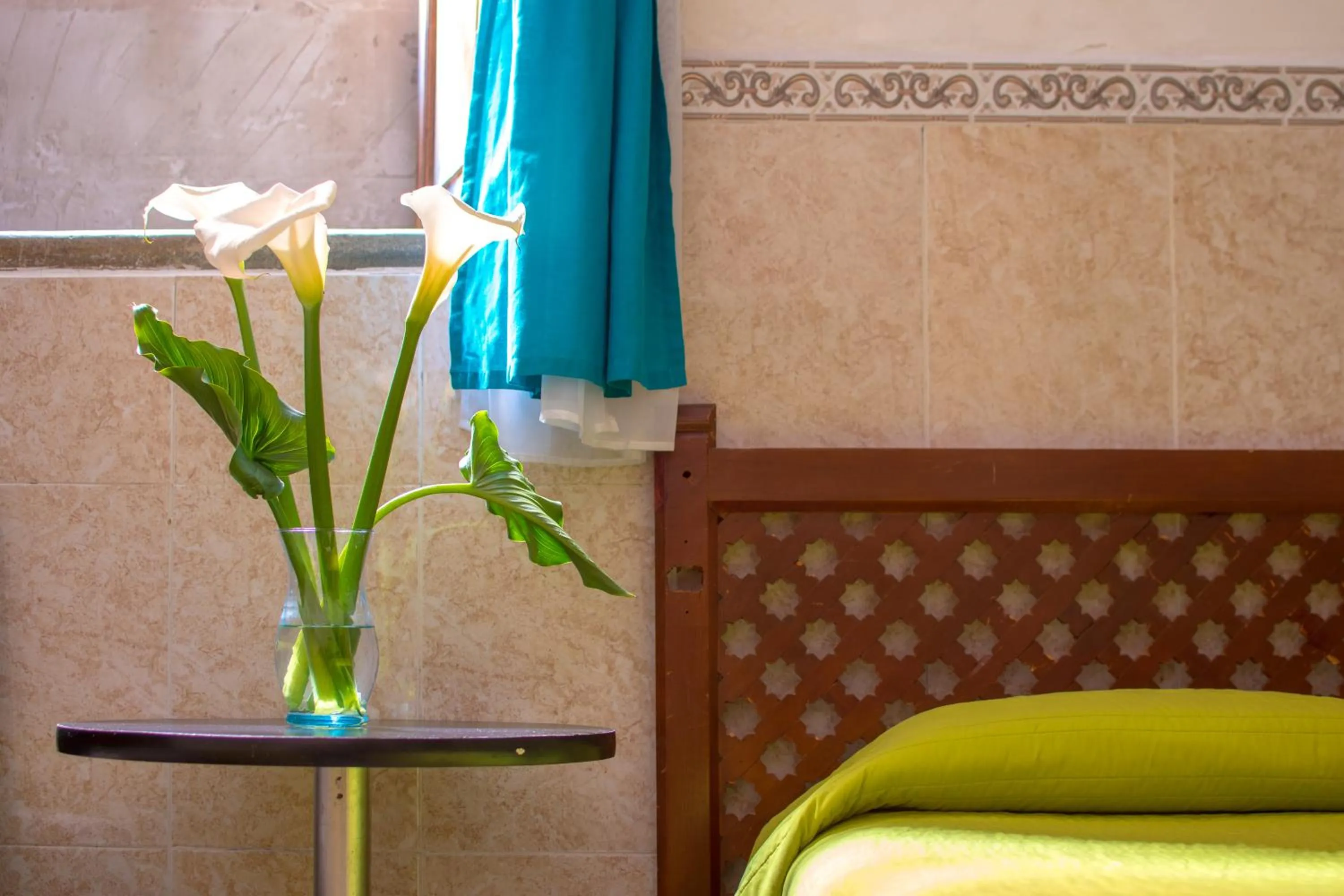 Decorative detail in Casa Lupita Hostel