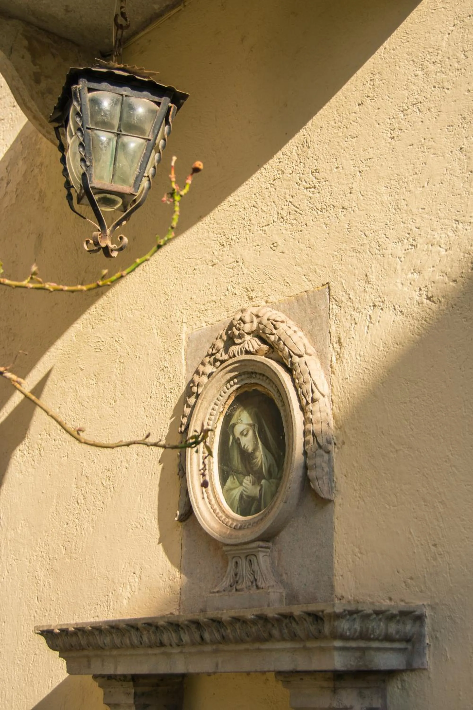Garden in Casa Lupita Hostel
