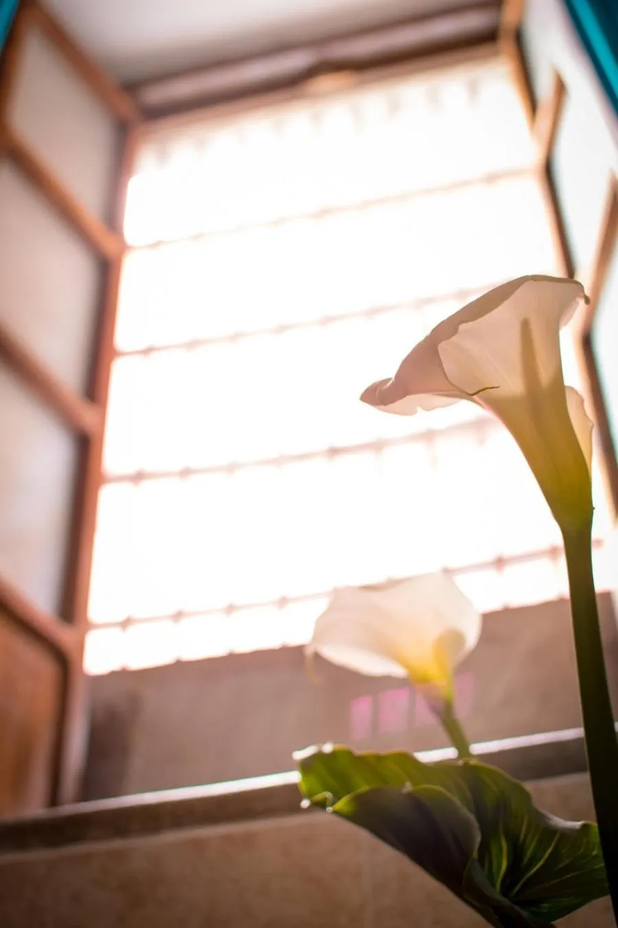 Decorative detail in Casa Lupita Hostel