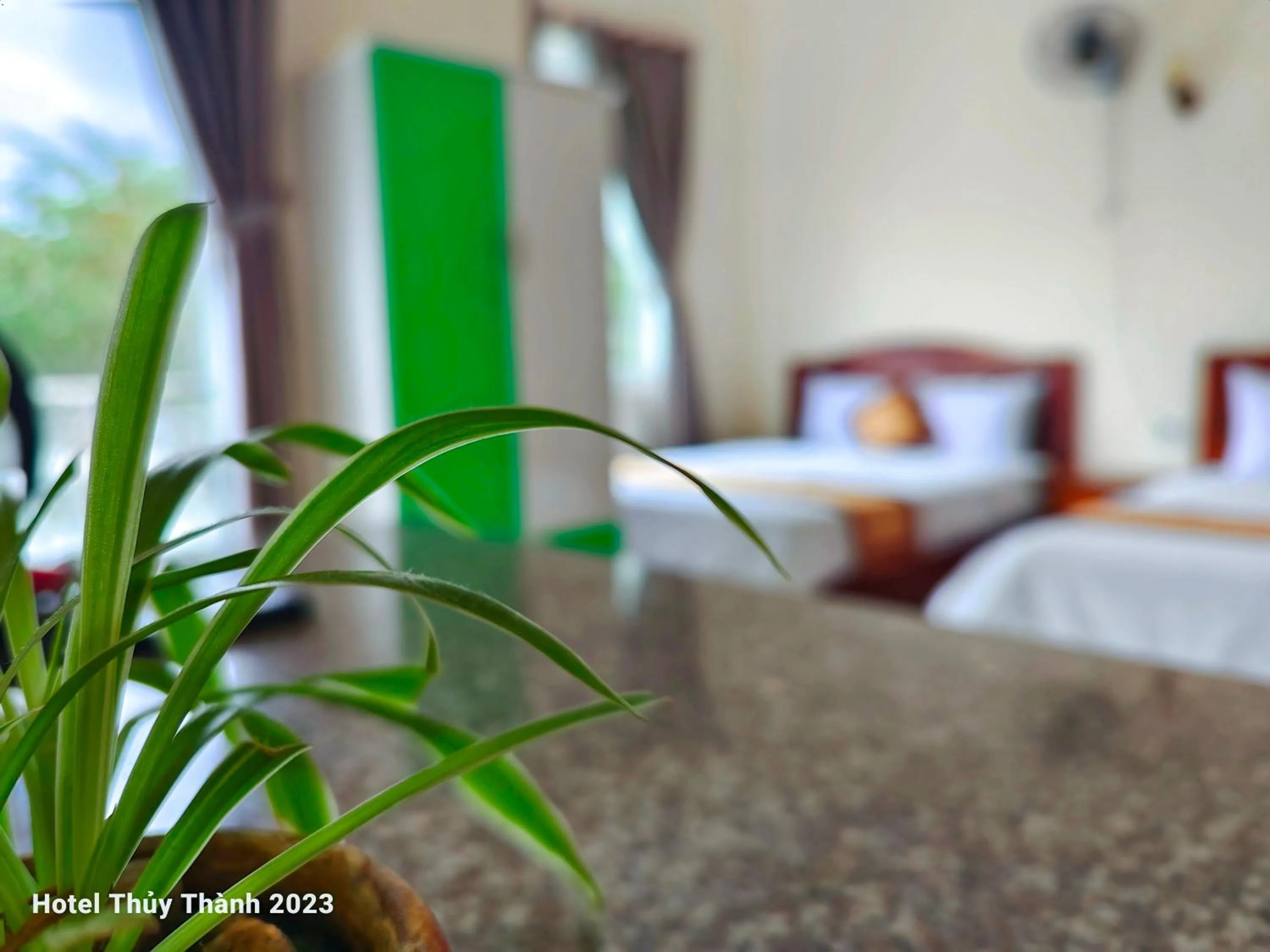 Photo of the whole room, Bed in Thuy Thanh Hotel