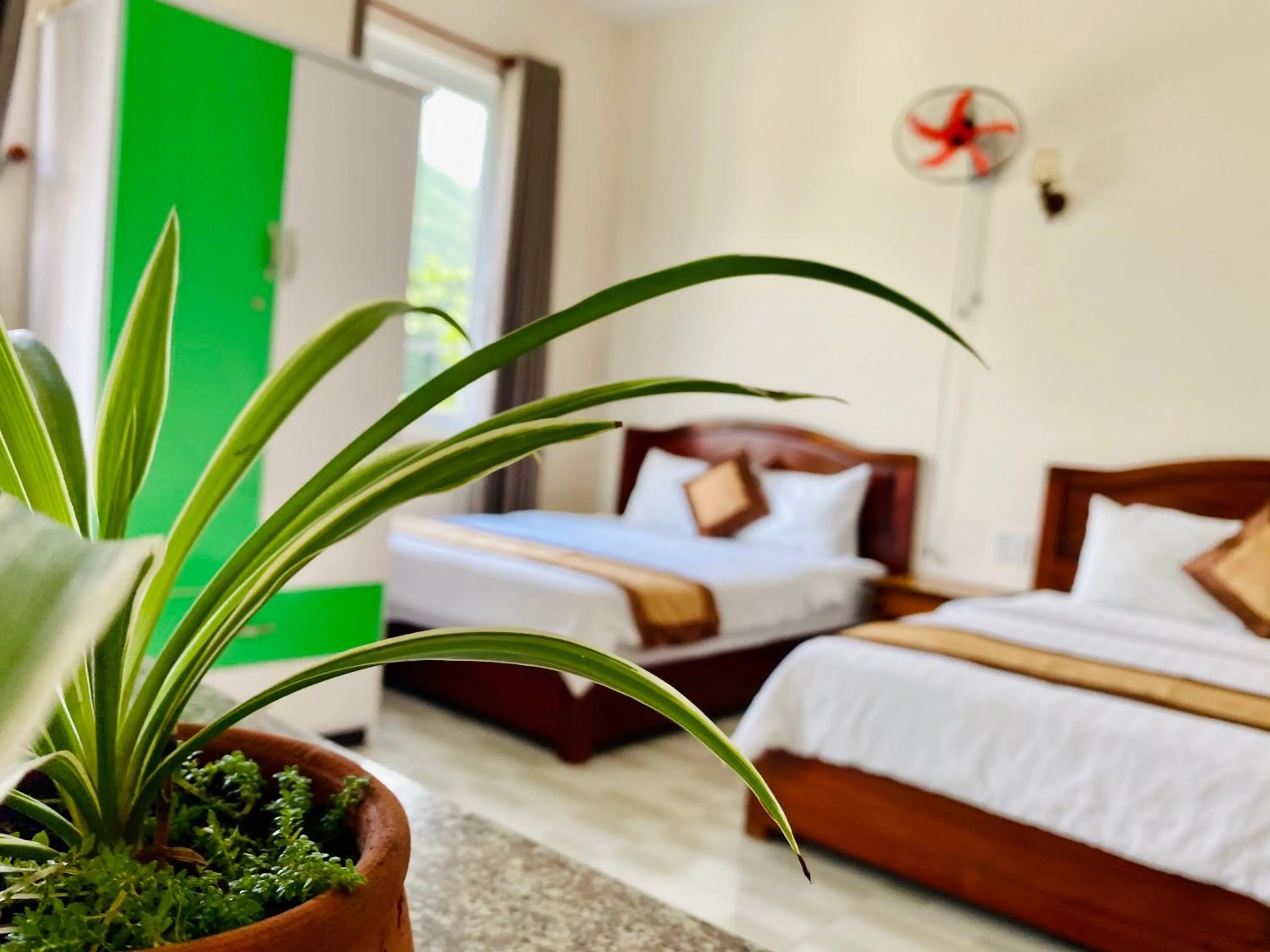 Bed in Thuy Thanh Hotel