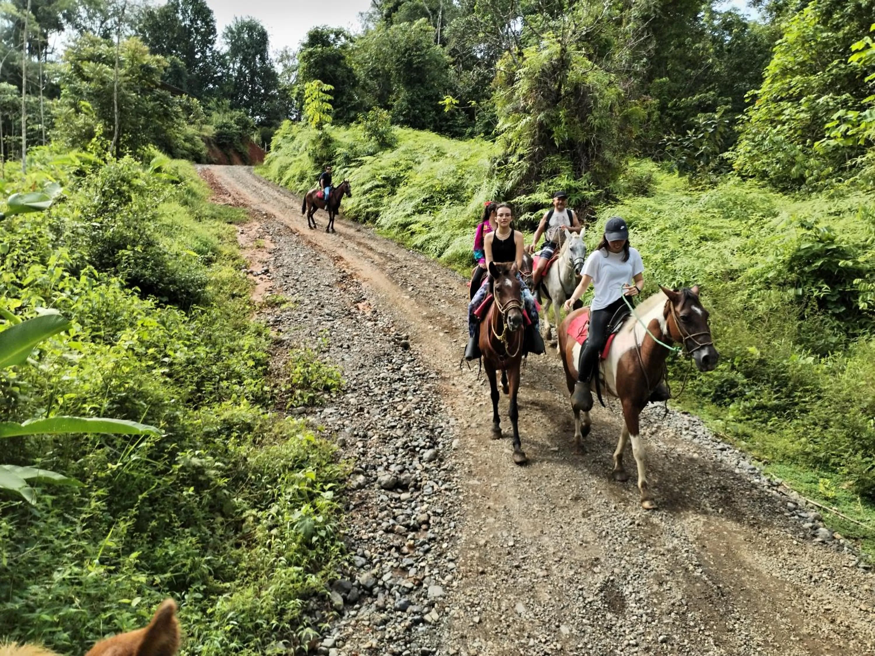 Natural landscape in Osa House - Drake Bay