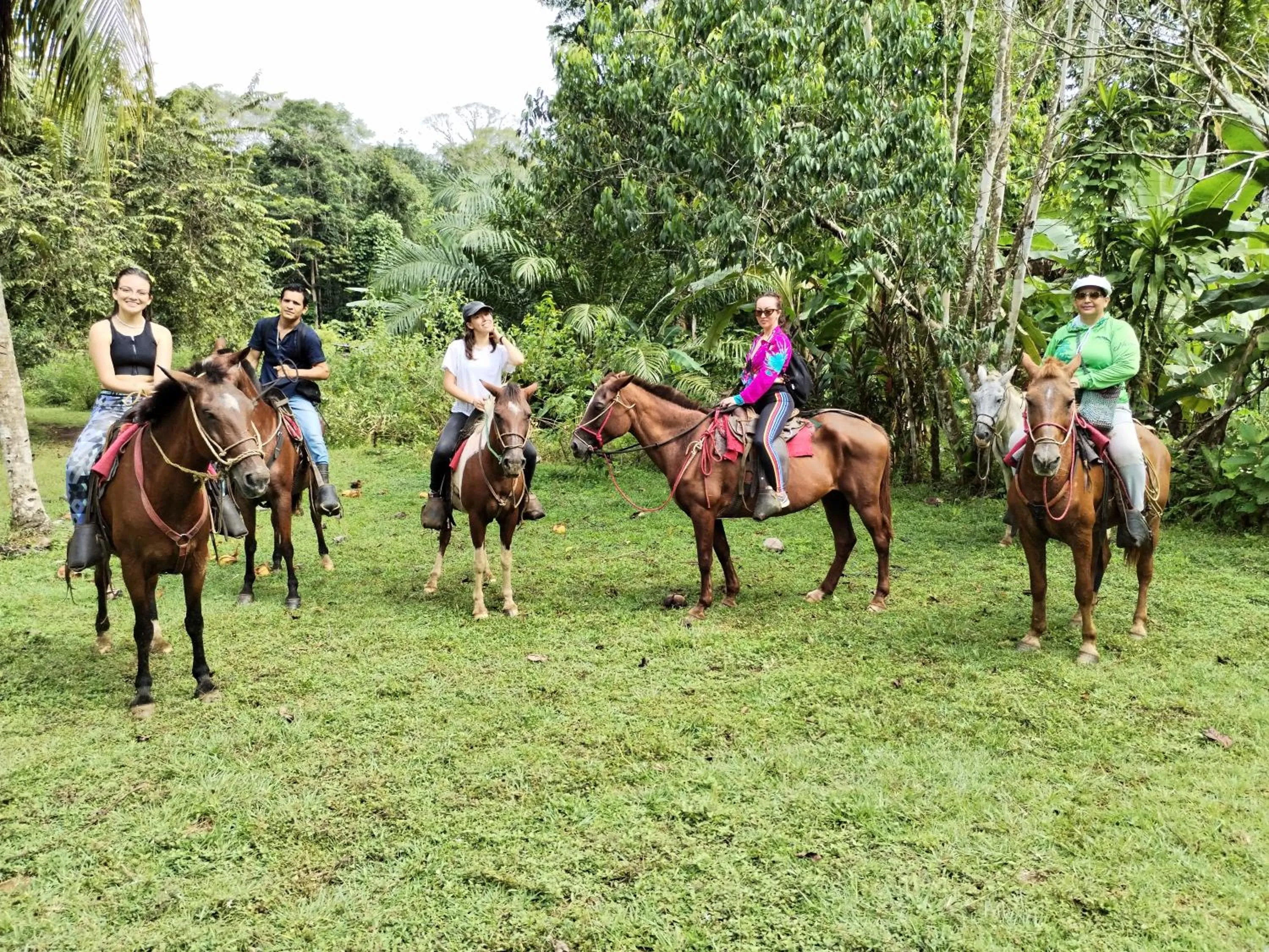 Natural landscape in Osa House - Drake Bay