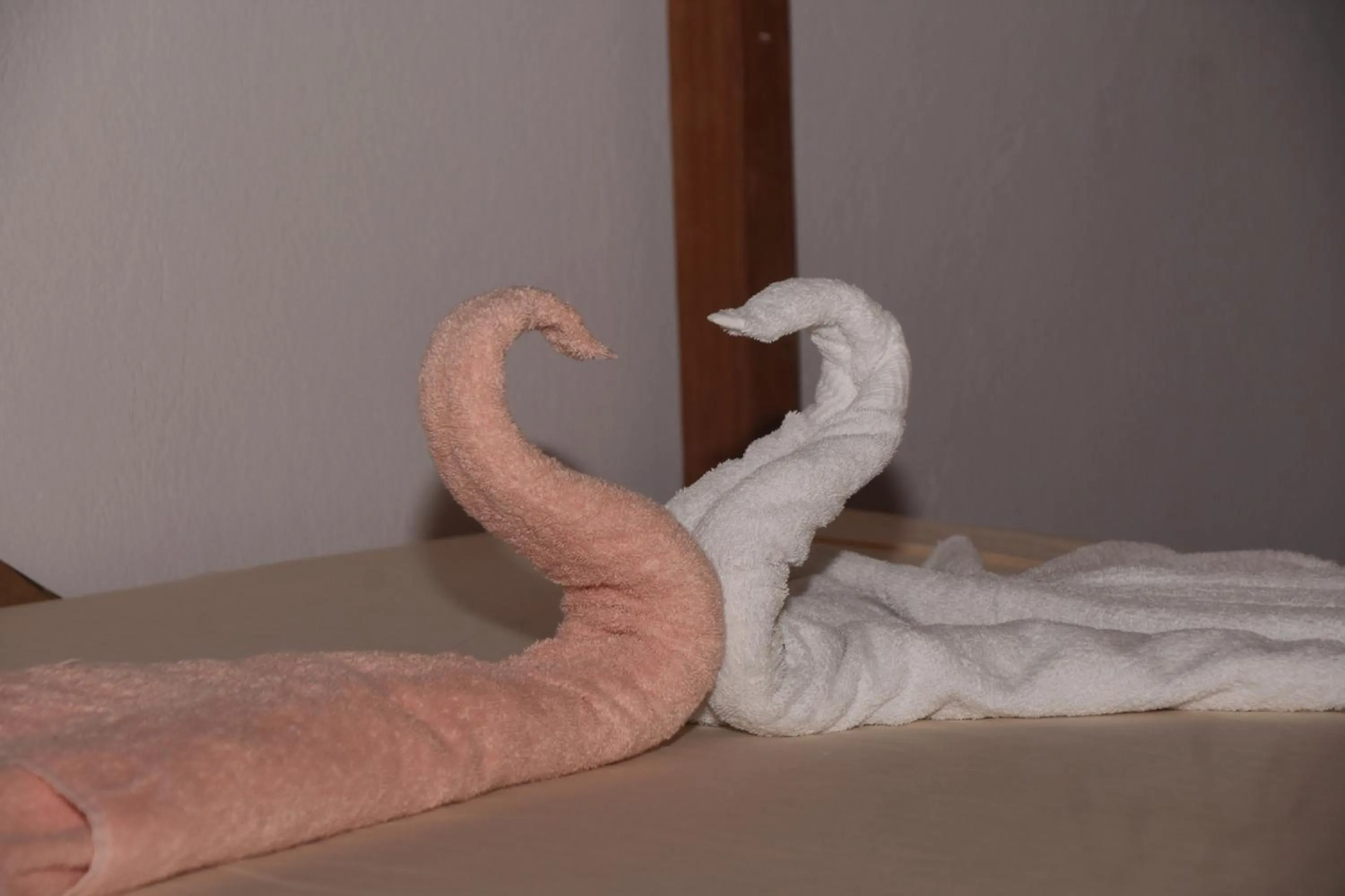 Bed in Osa House - Drake Bay