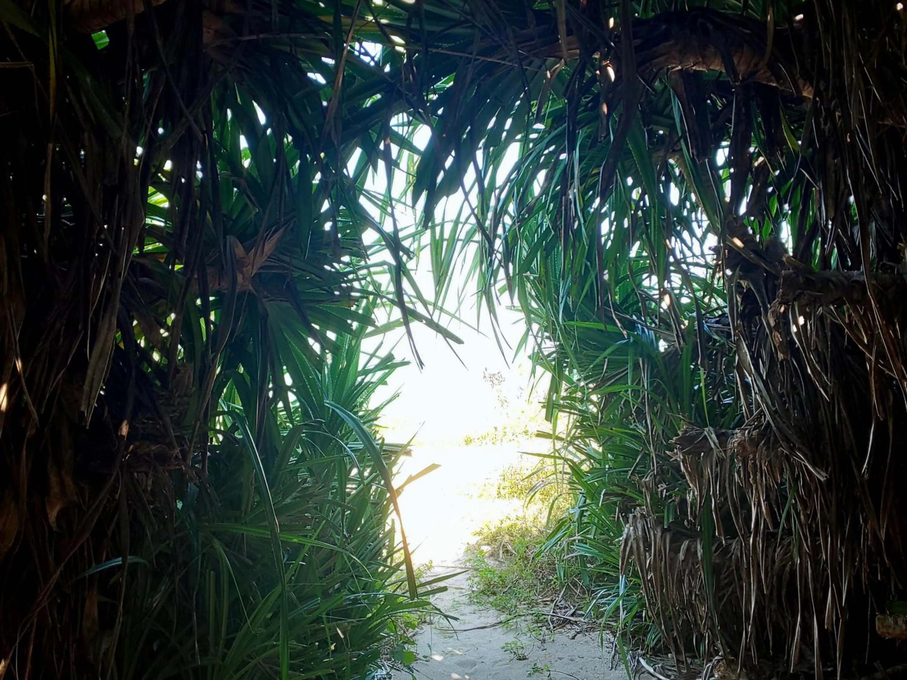 Off site in Uminchuno Yado