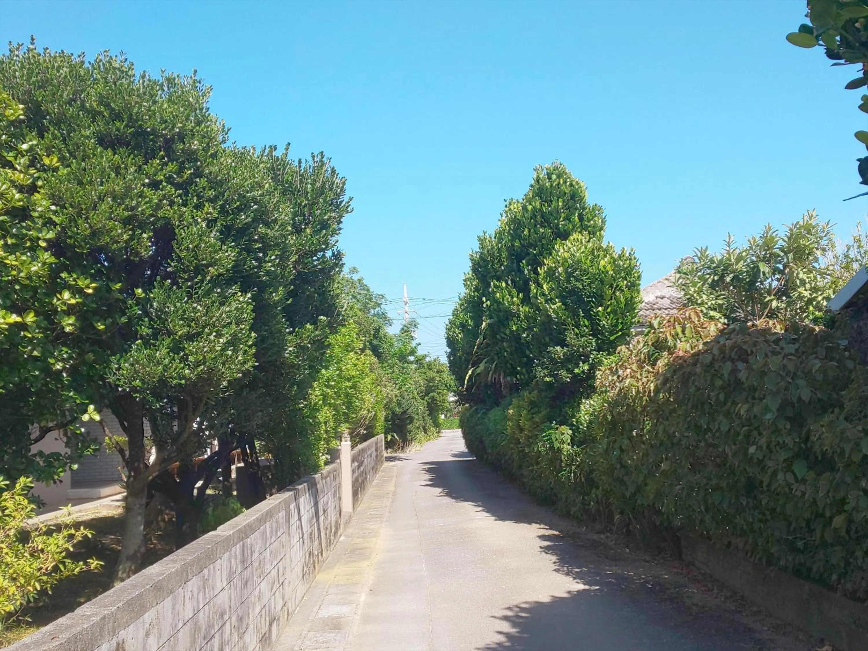 Neighbourhood in Uminchuno Yado