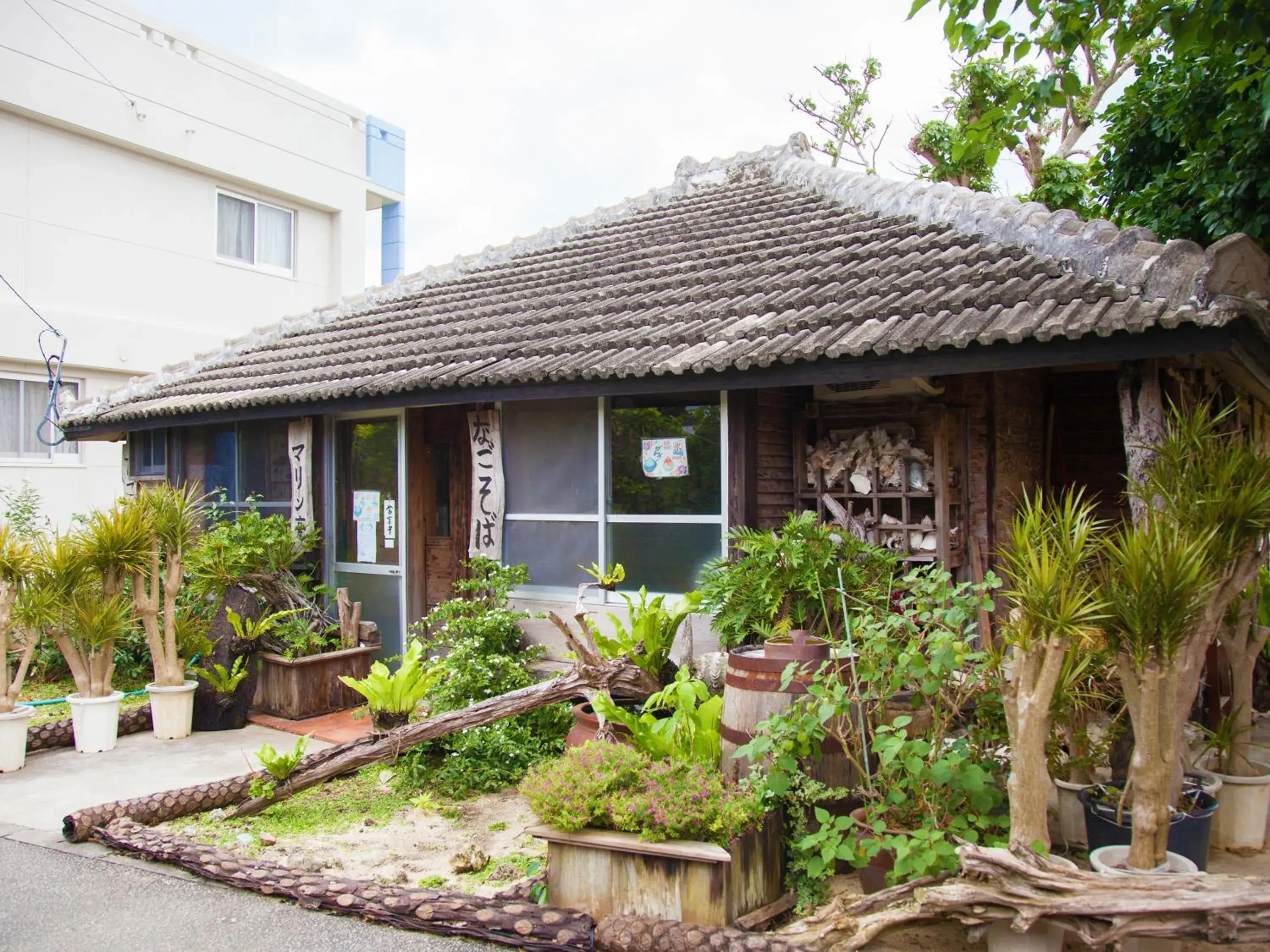 Restaurant/places to eat in Uminchuno Yado Restaurant/places to eat in Uminchuno Yado