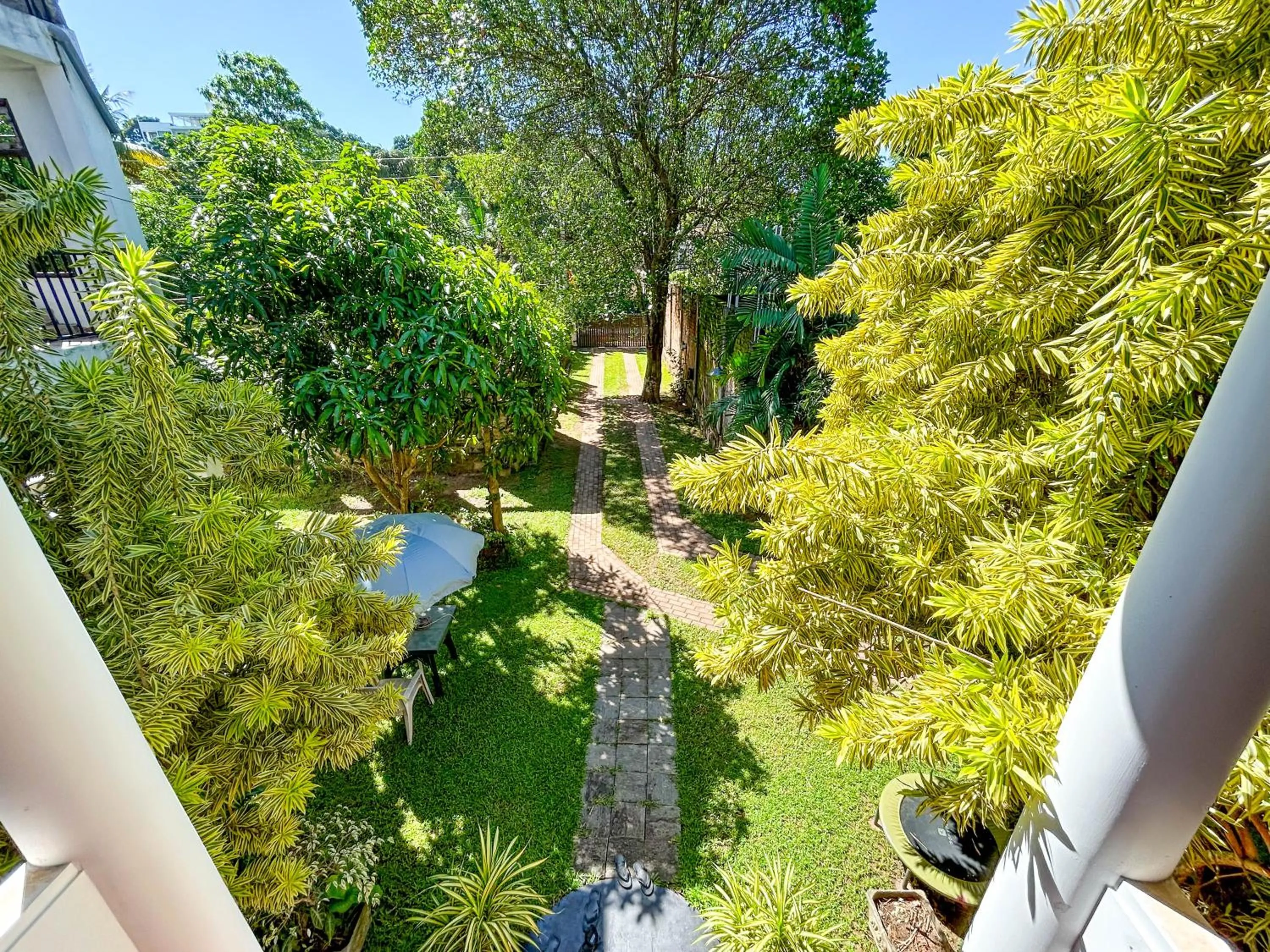 Garden view in Hotel La Felicita
