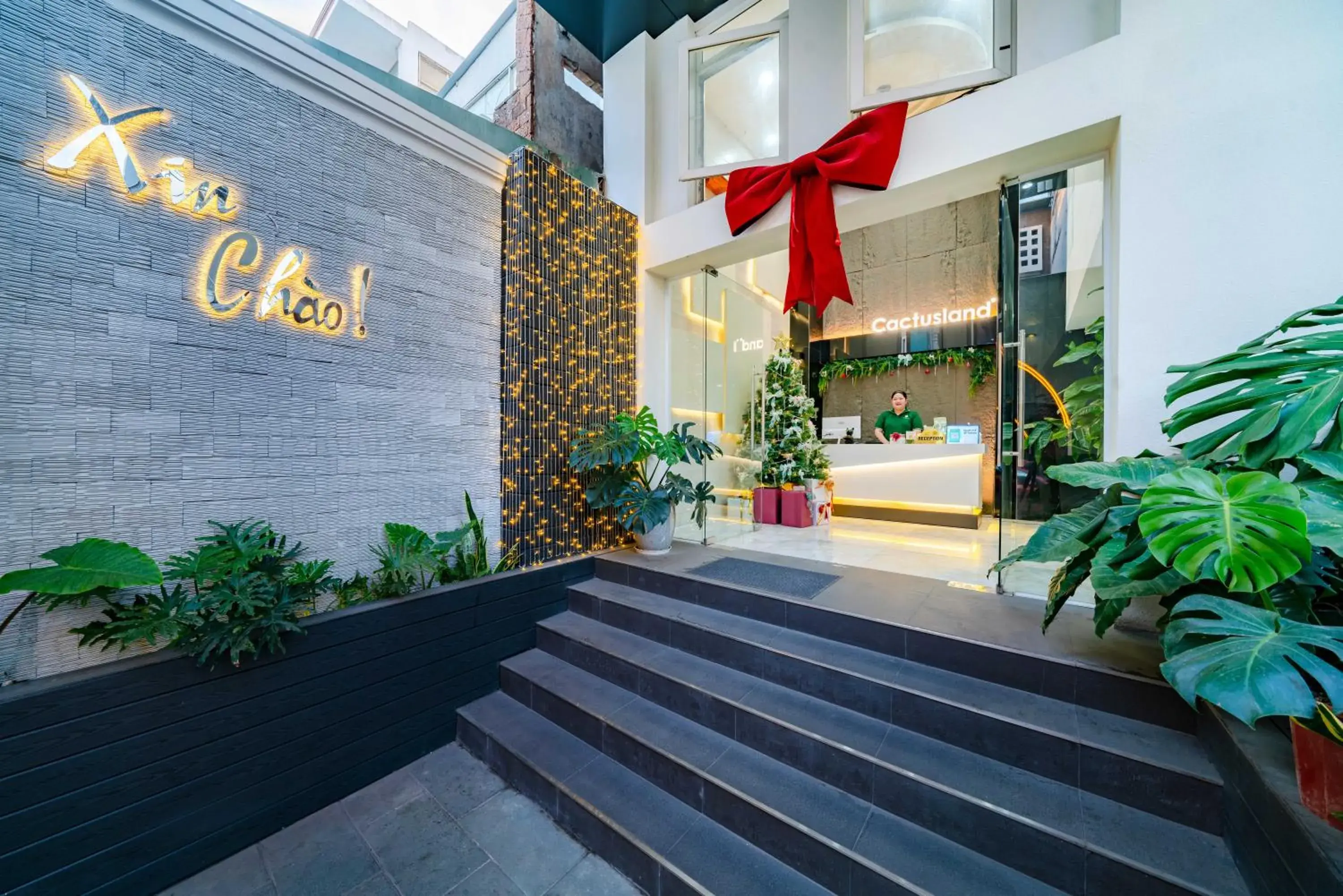 Property building in Cactusland Hotel Tan Binh Near T3 Station Property building in Cactusland Hotel Tan Binh Near T3 Station
