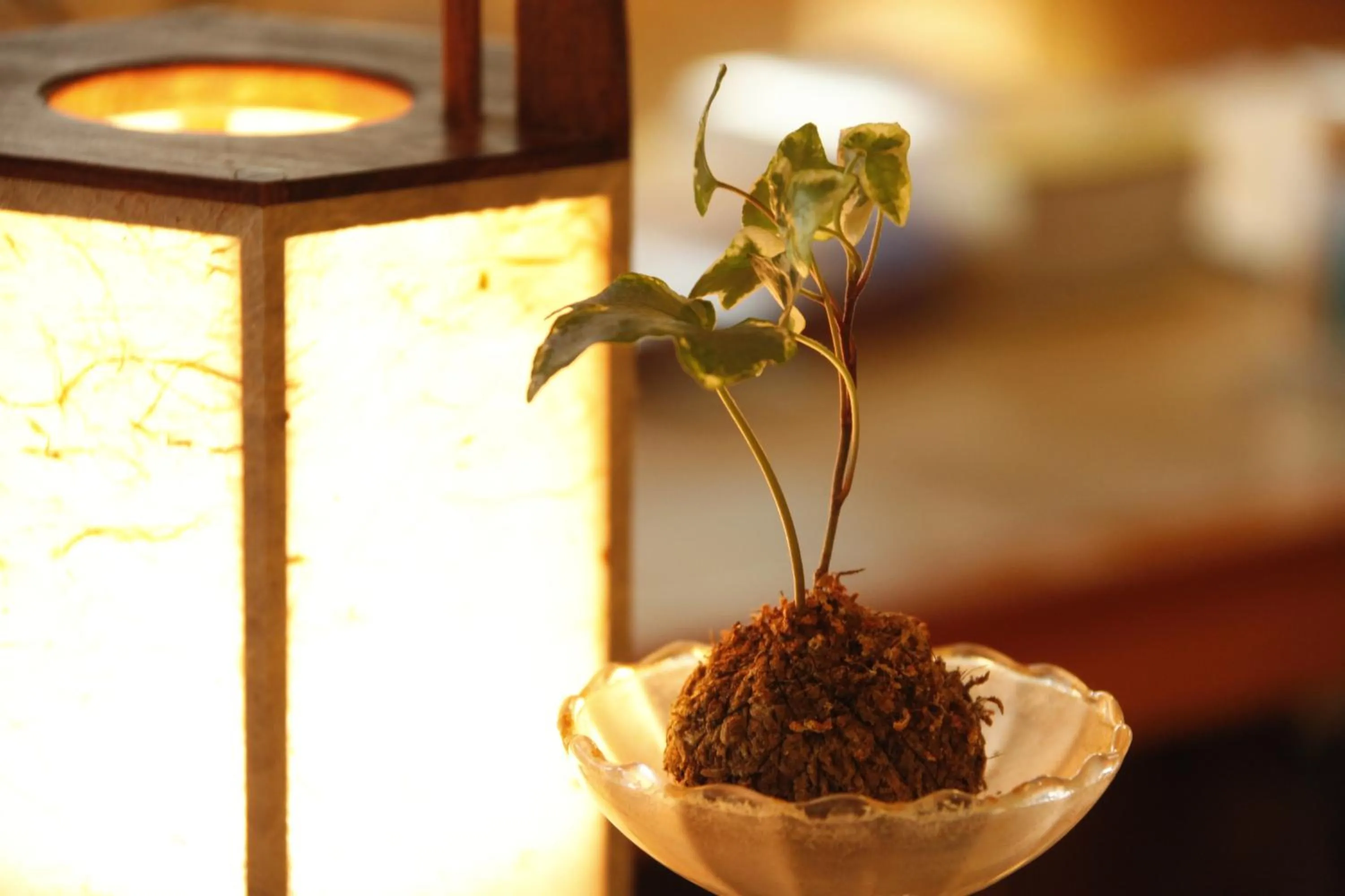 Decorative detail in Oribana