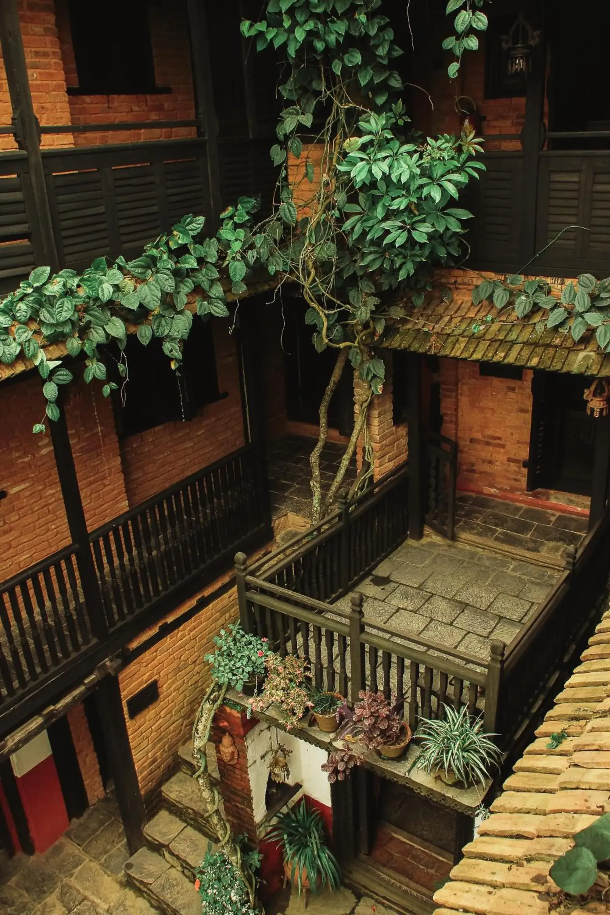 Garden view in The Old Inn Garden view in The Old Inn