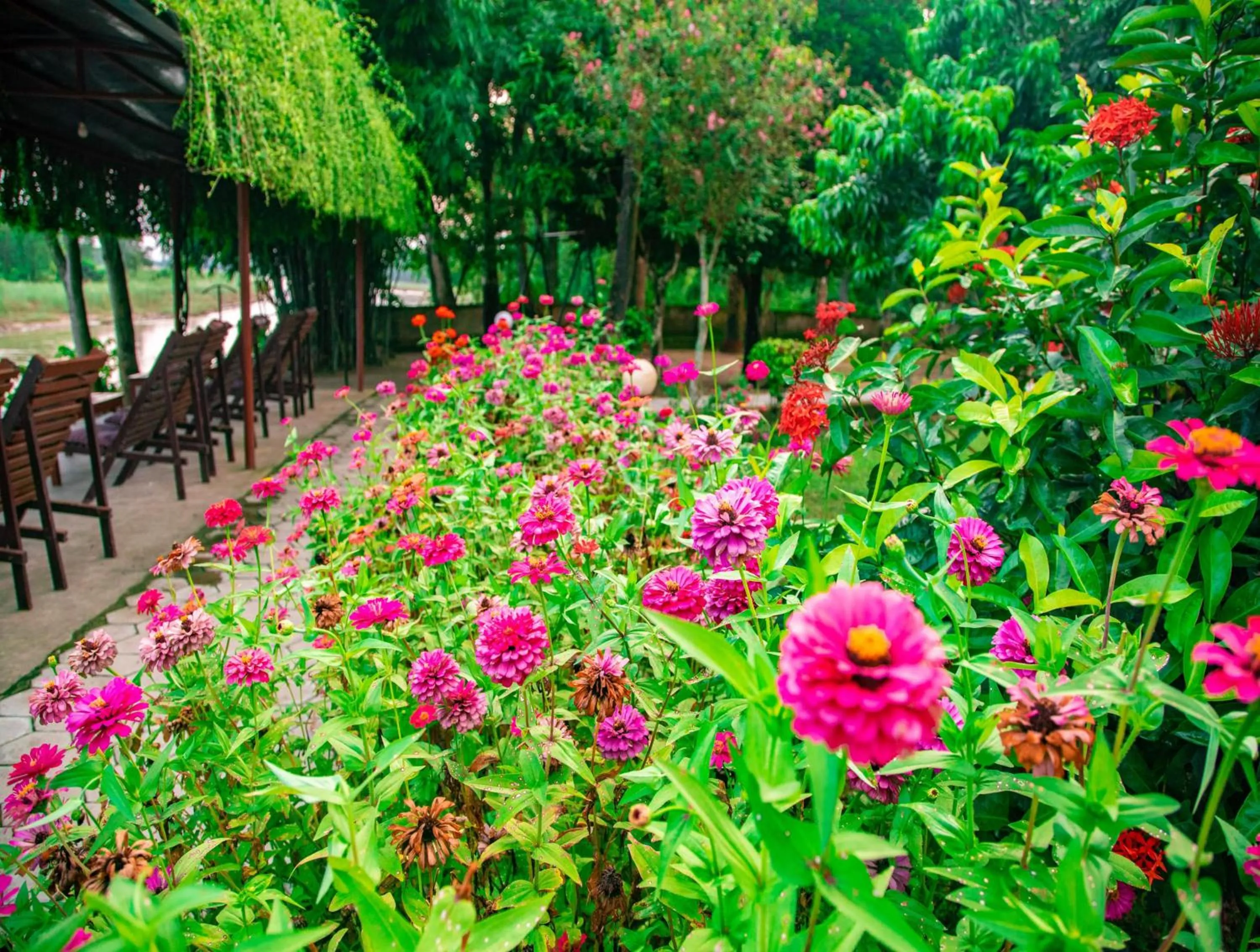 Garden in Chitwan Riverside Resort