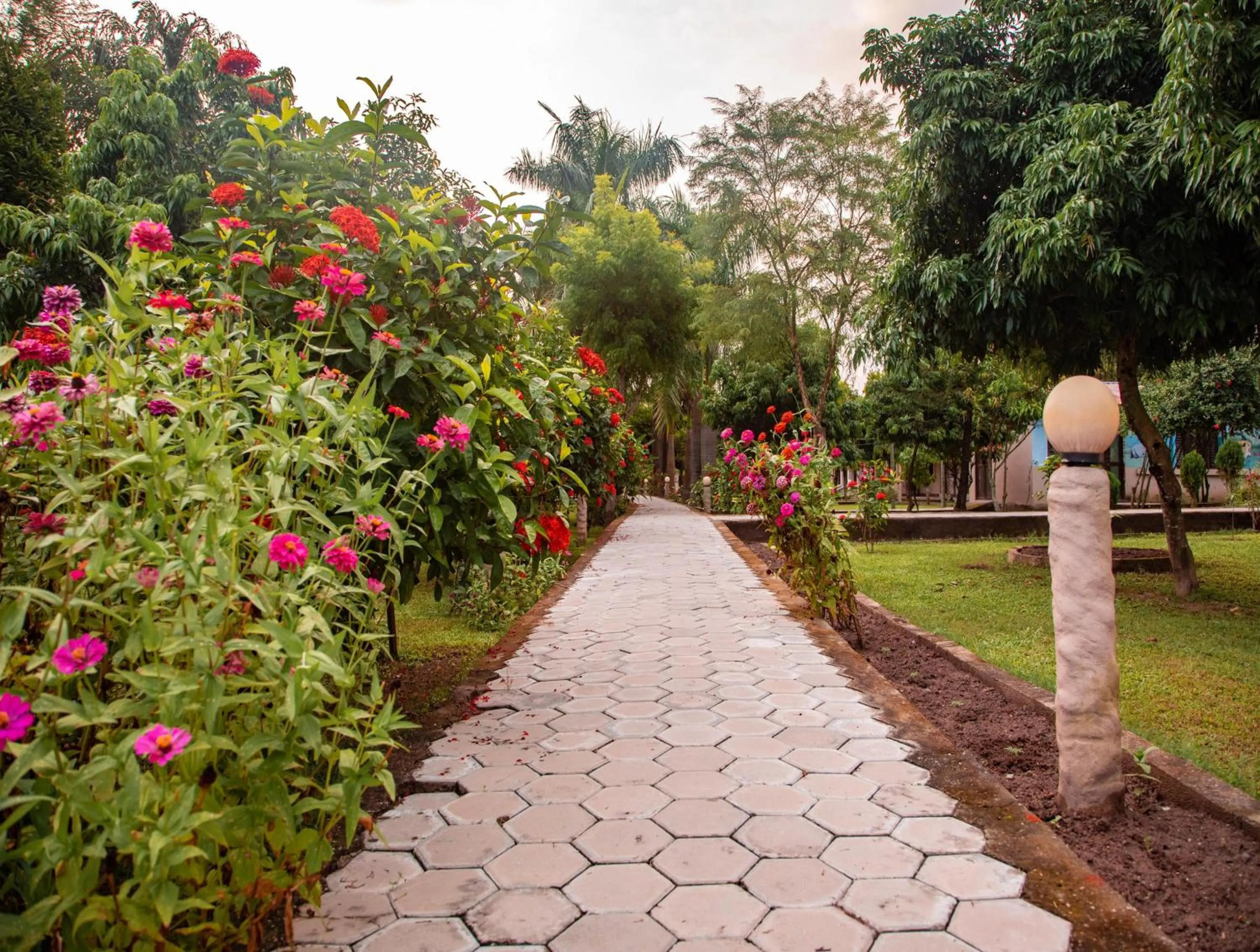 Garden in Chitwan Riverside Resort