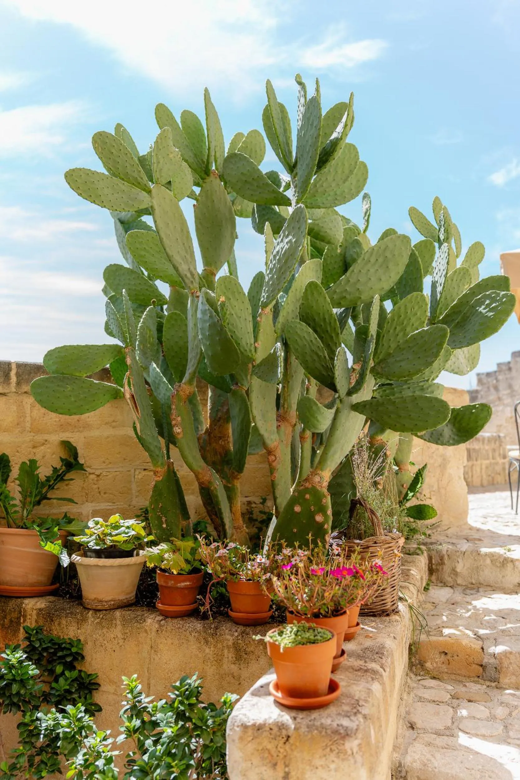 Palazzo Del Duca Hotel & Restaurant