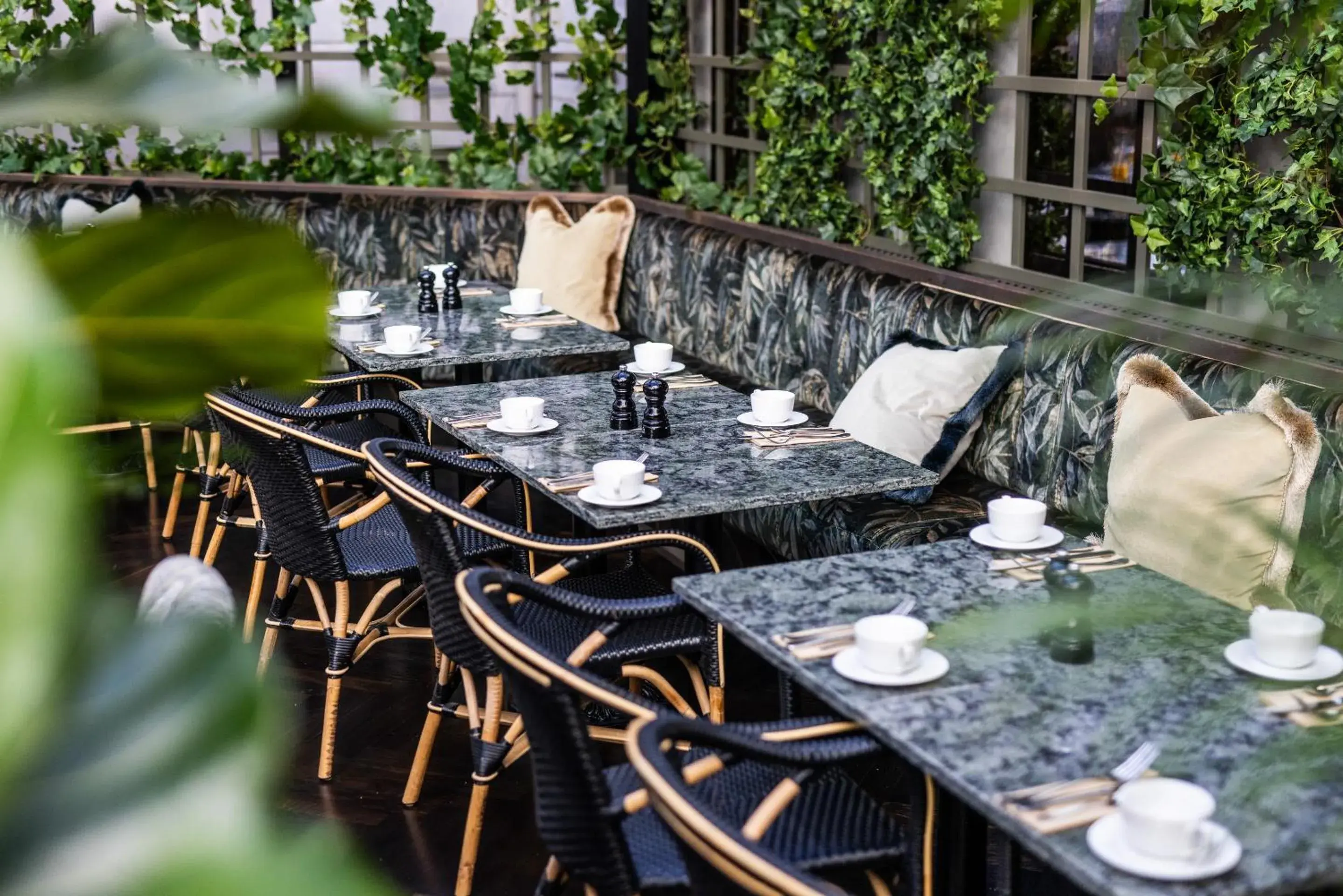 Restaurant/places to eat in Hotel Royal Restaurant/places to eat in Hotel Royal