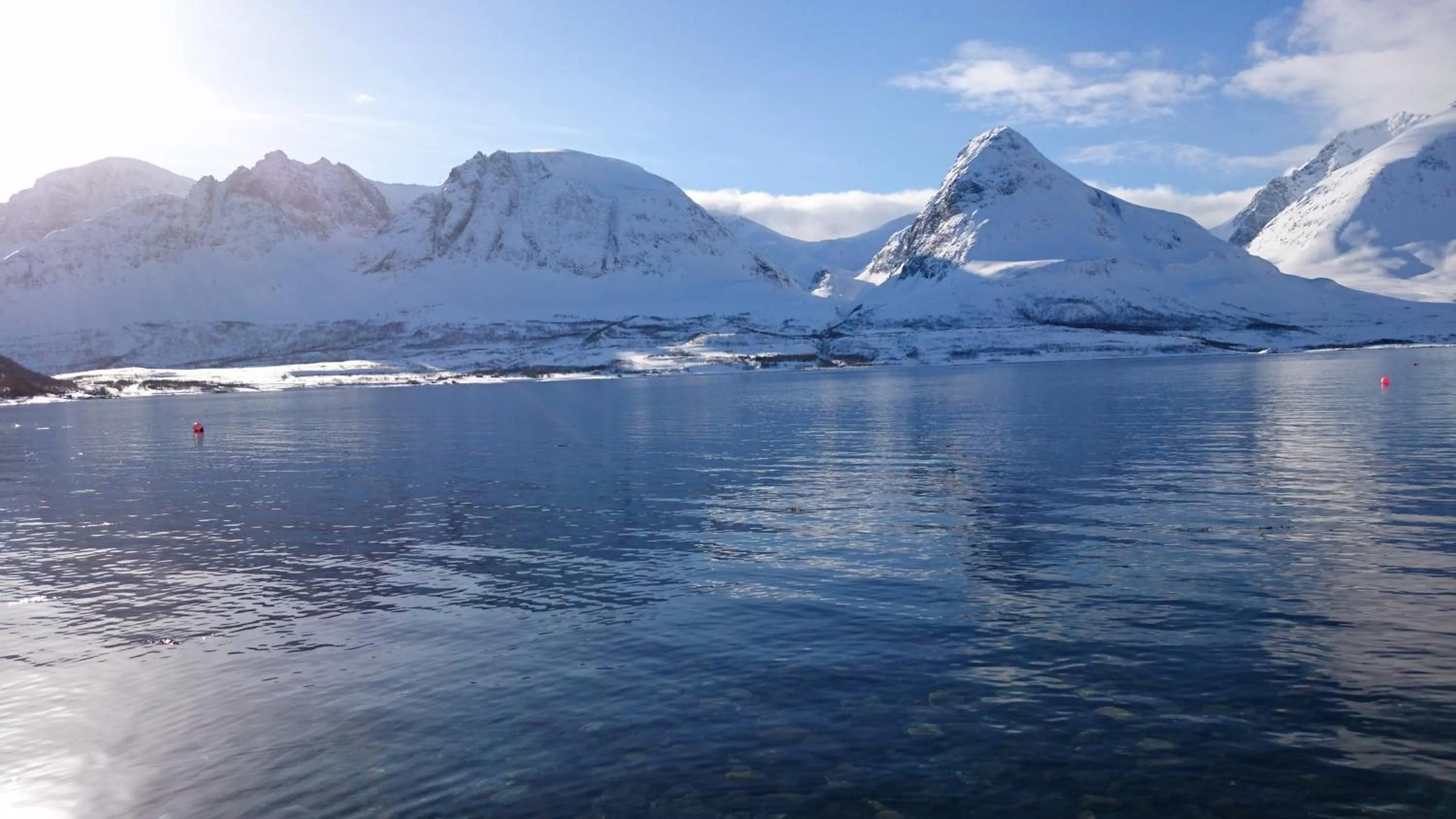 Day in Hotell Maritim Skjervoy