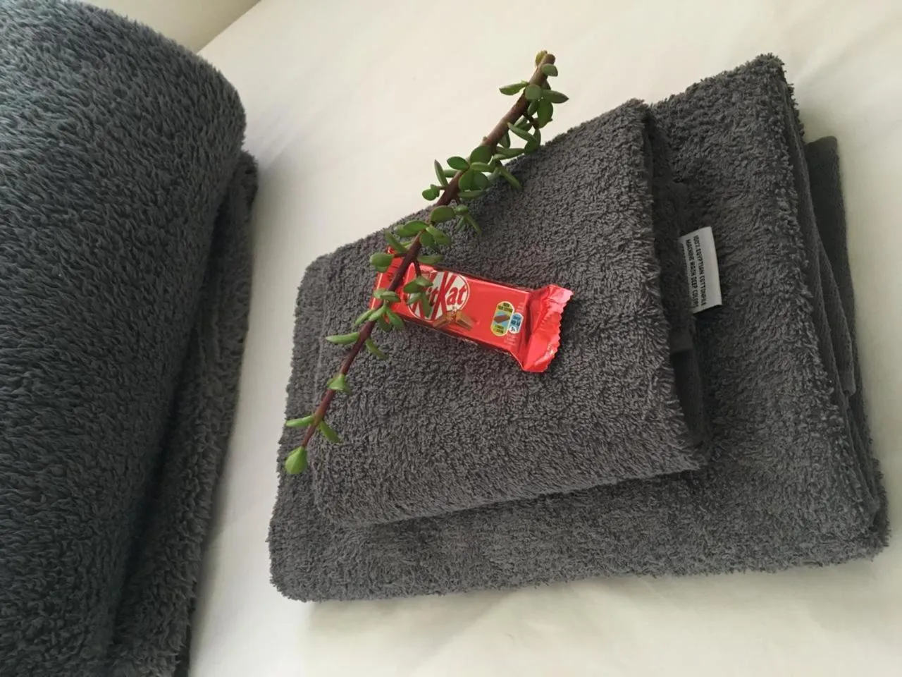 Bed in Klein Karoo Game Lodge