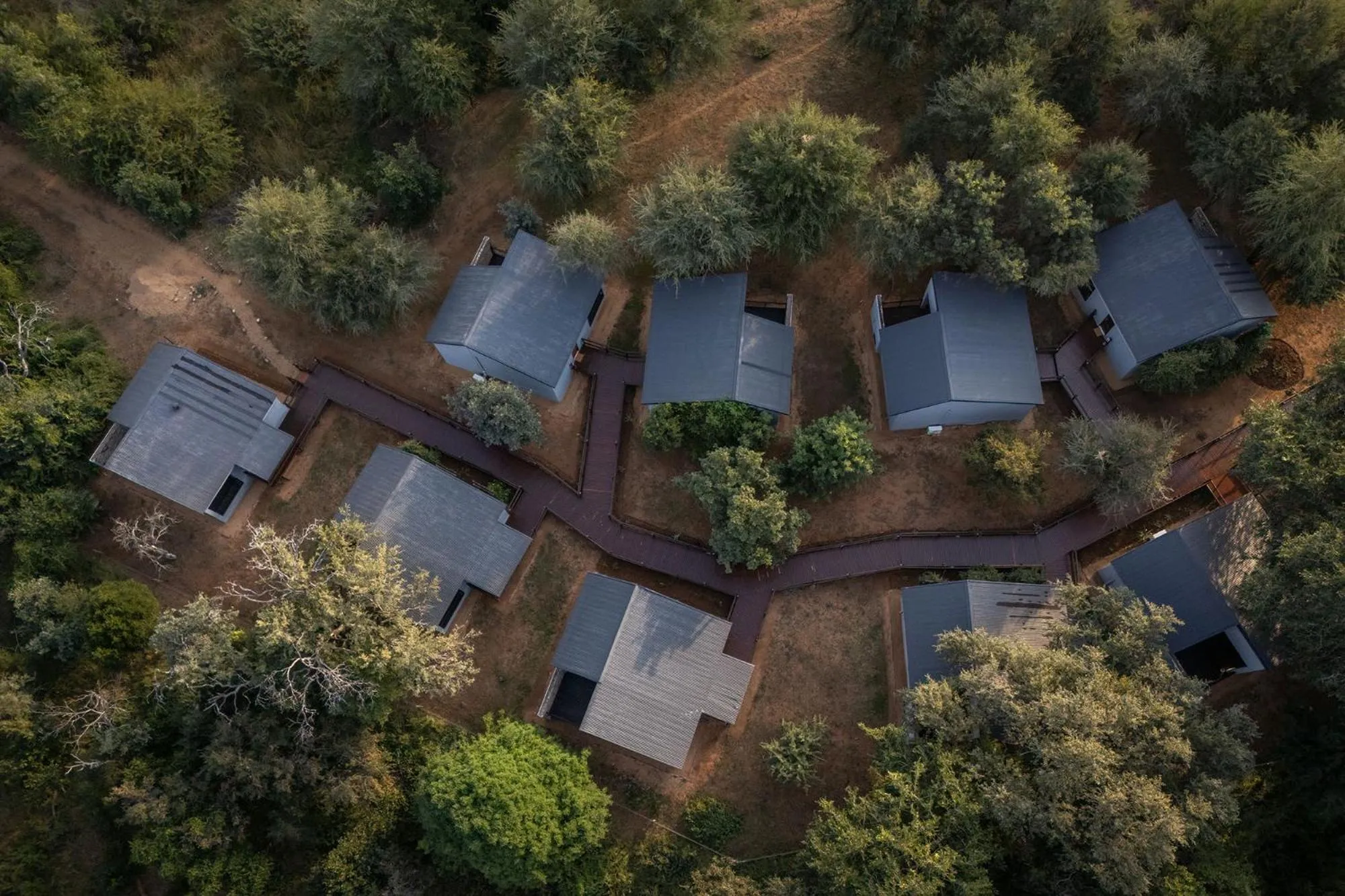 Bird's eye view in Karongwe - Becks Safari Lodge