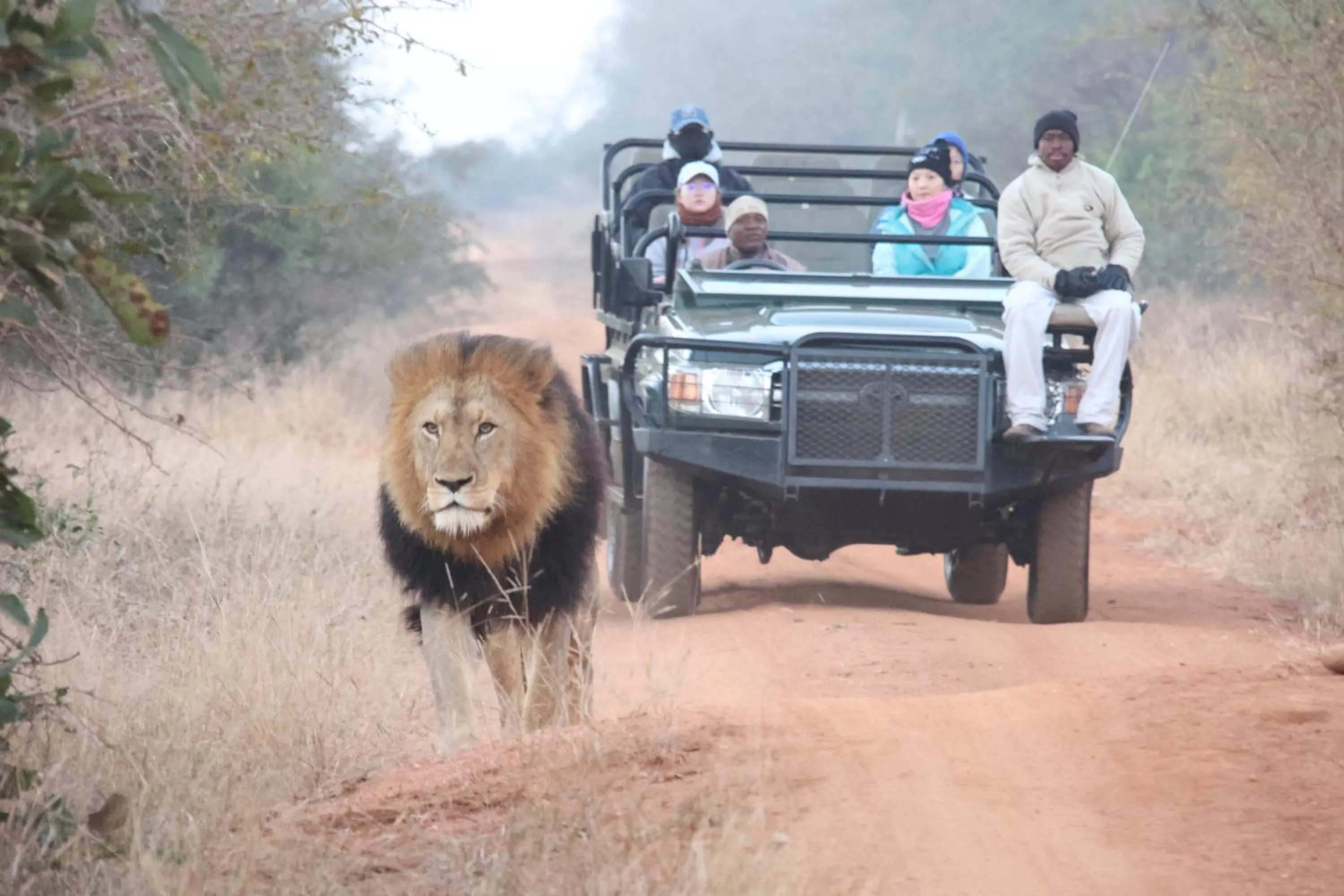Activities in Karongwe - Becks Safari Lodge