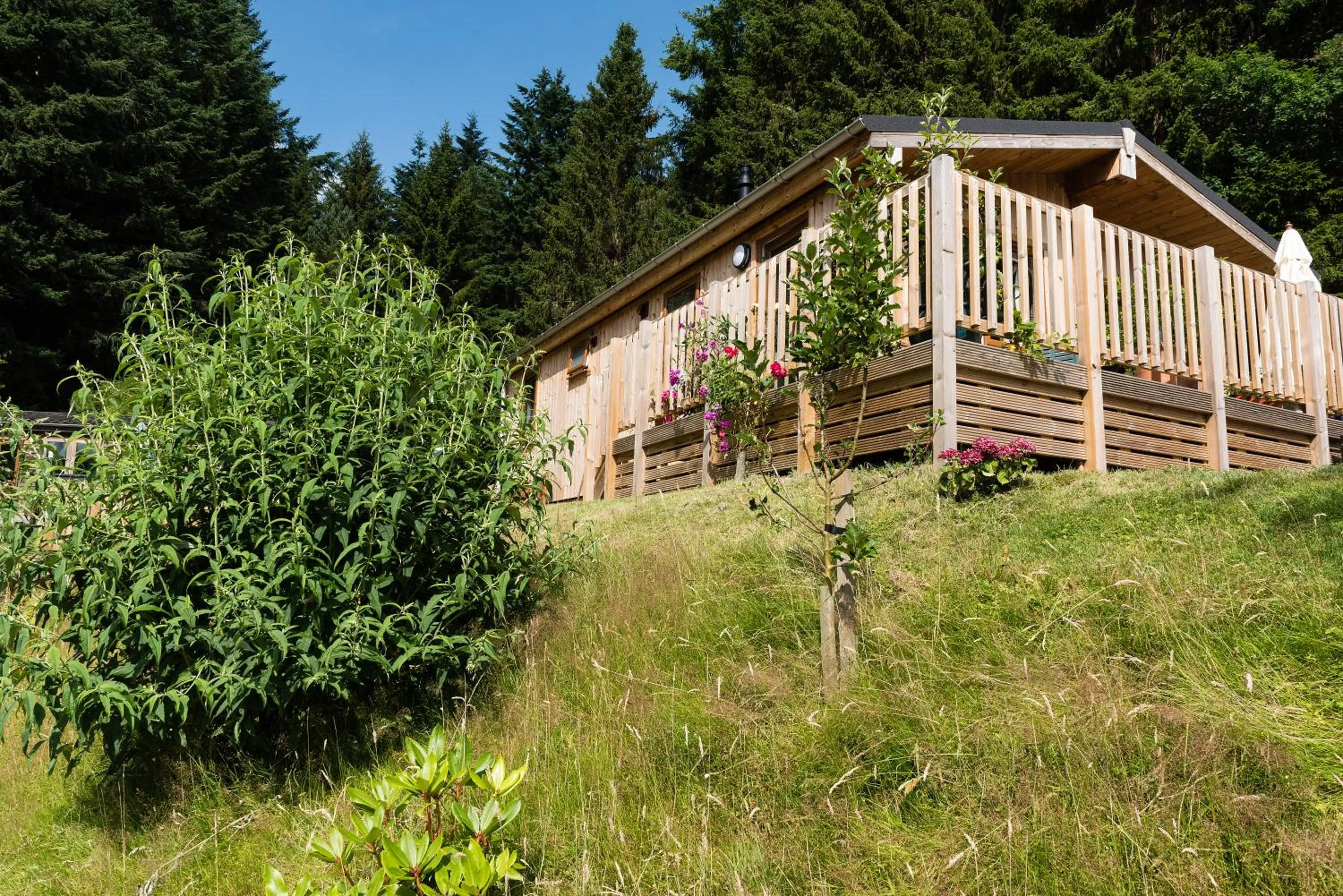 Spring in Tayview Lodges