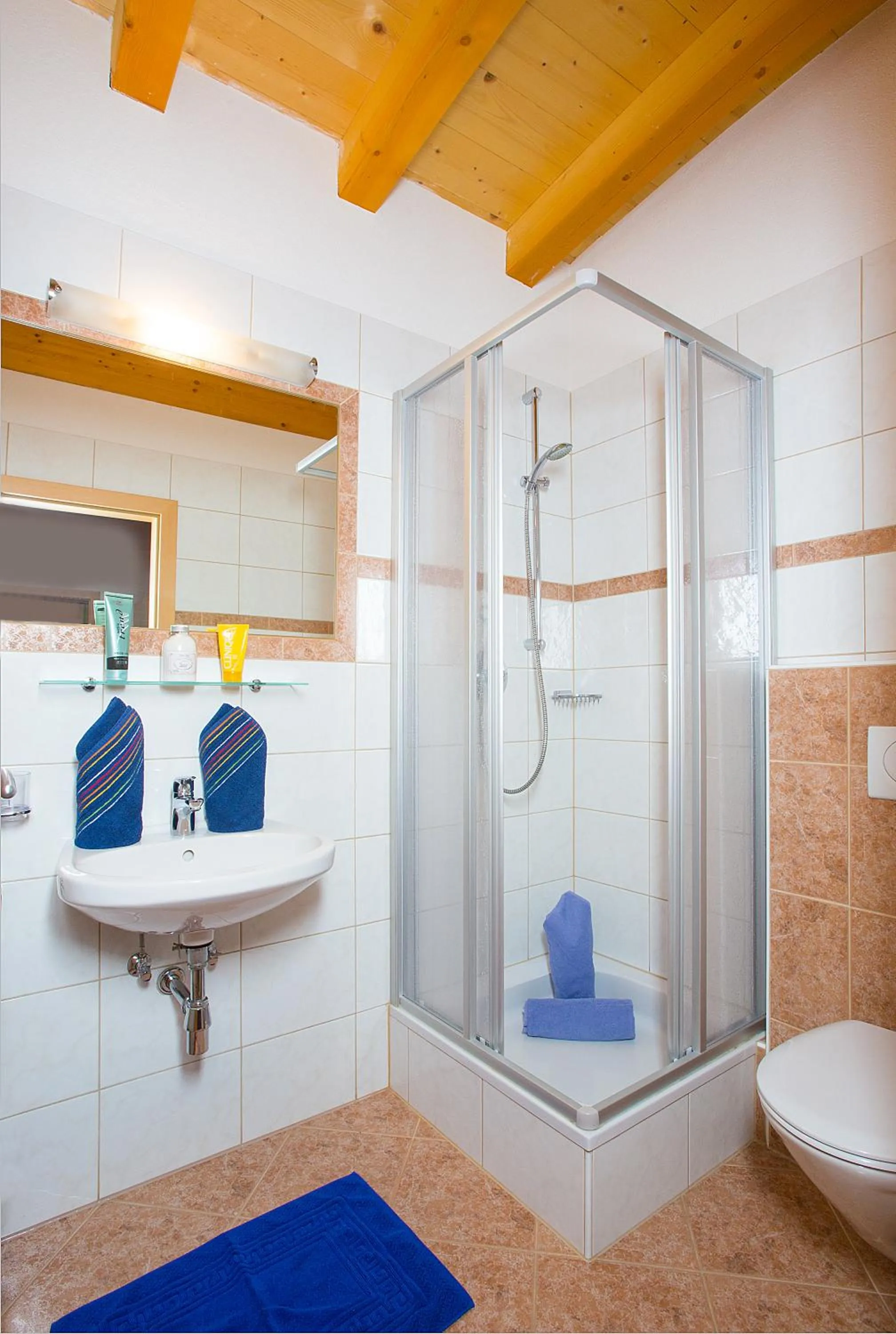 Bathroom in Haus Alois