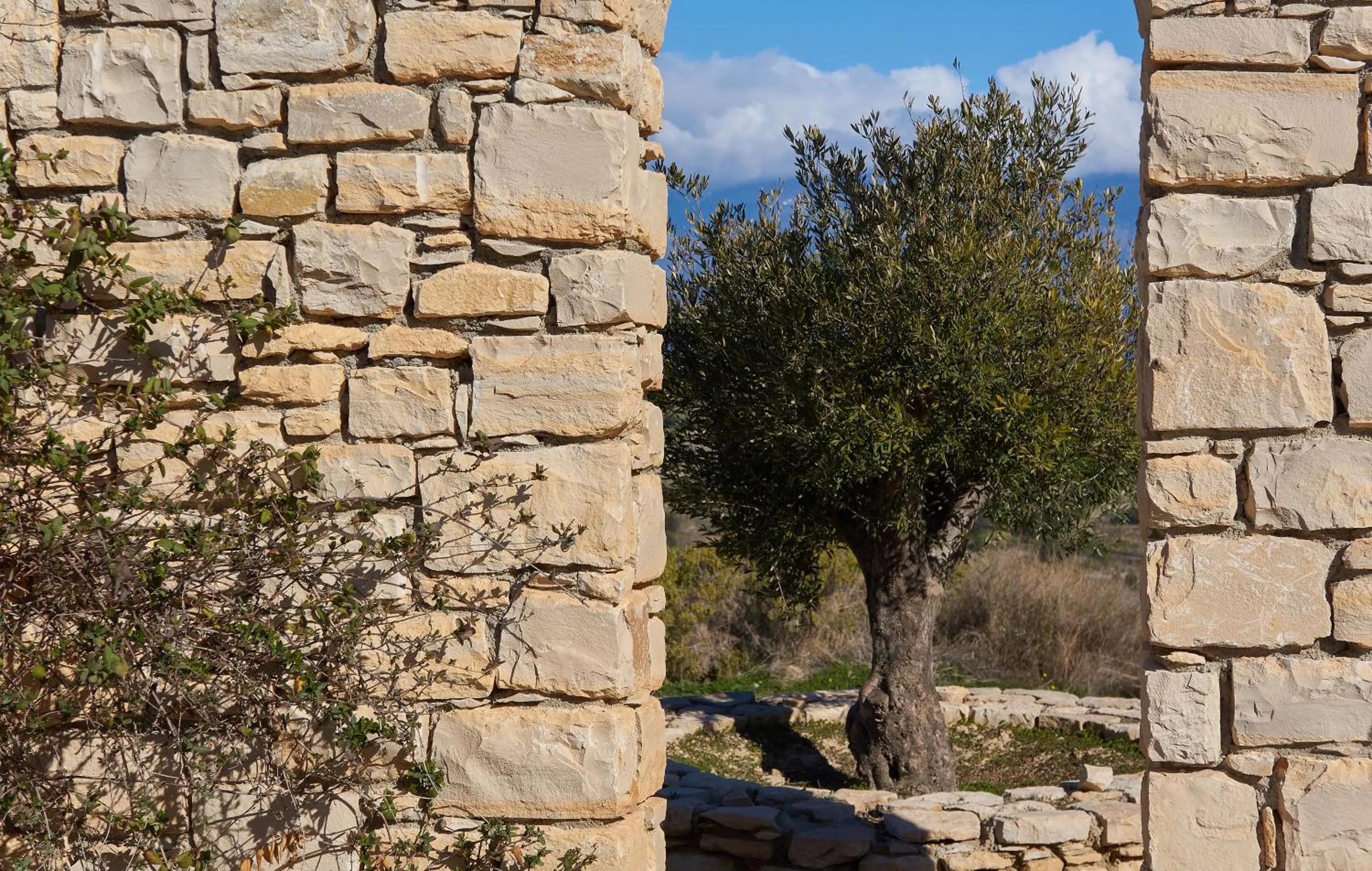 Day in Orelia Cretan Deluxe Apartments