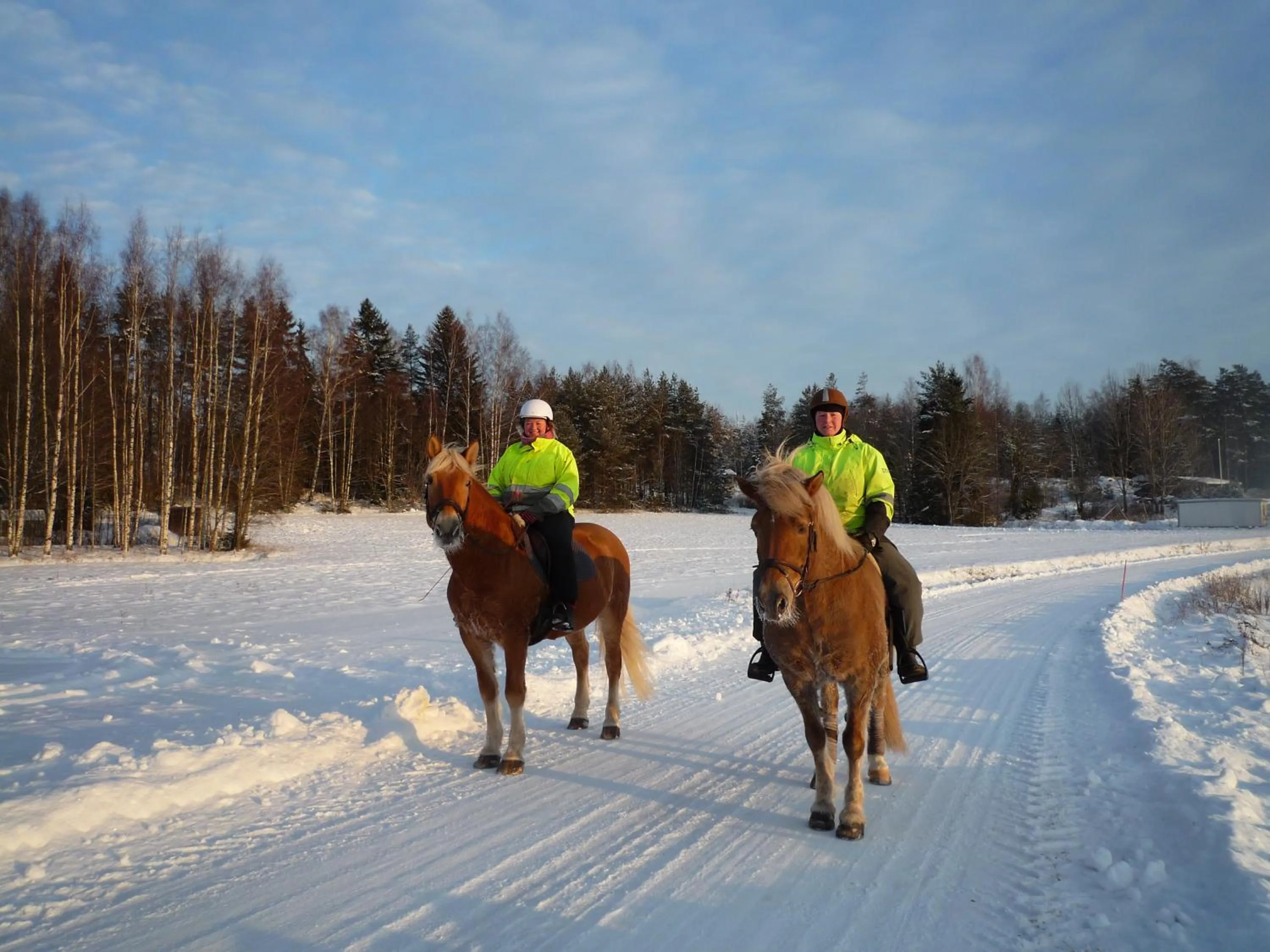 Horse-riding in Leena's B&B