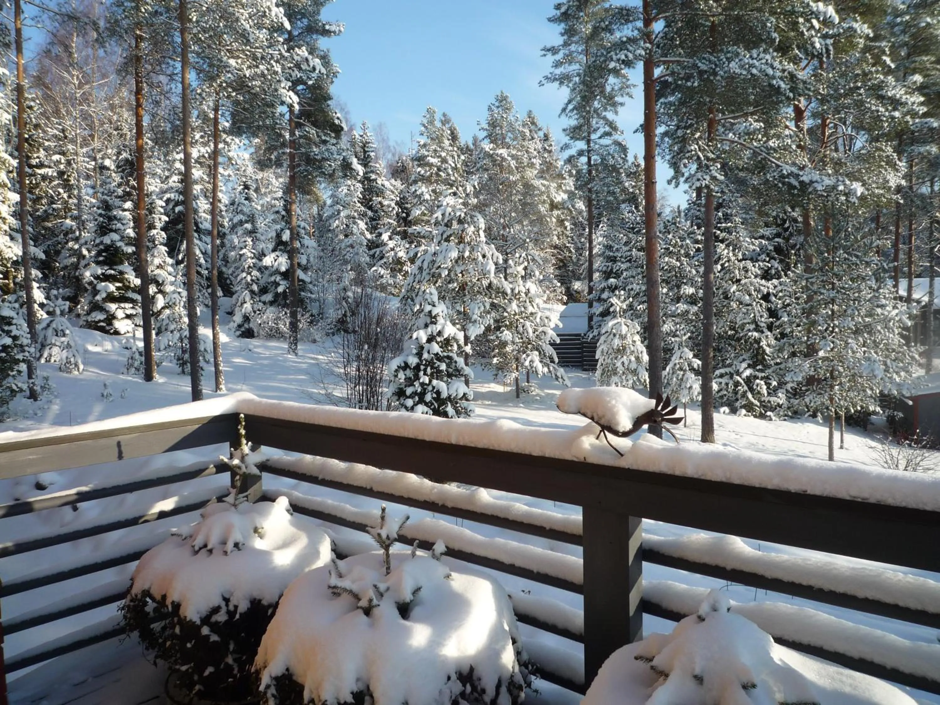 Winter in Leena's B&B