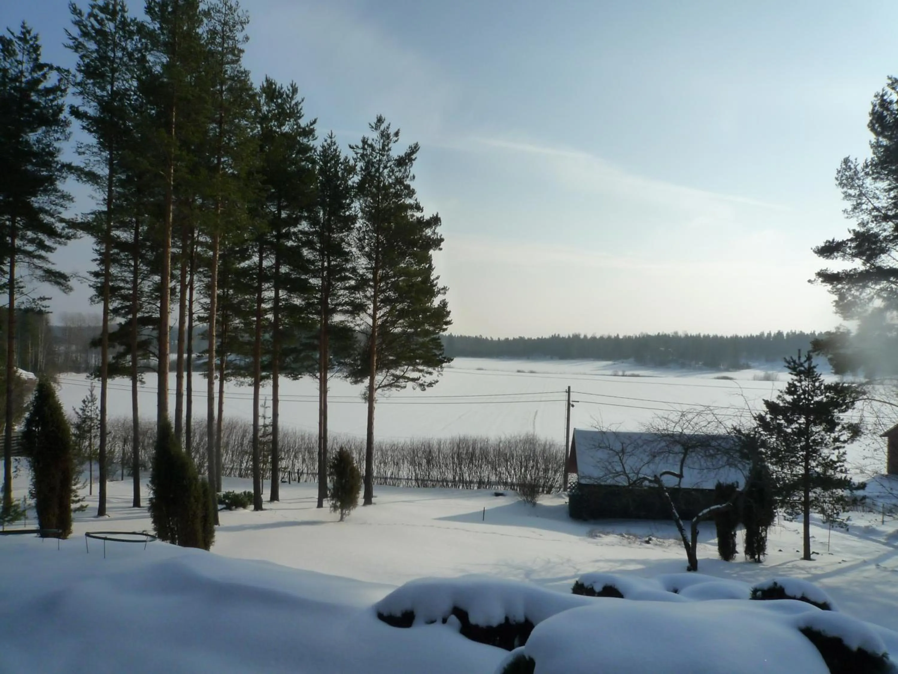 Natural landscape in Leena's B&B