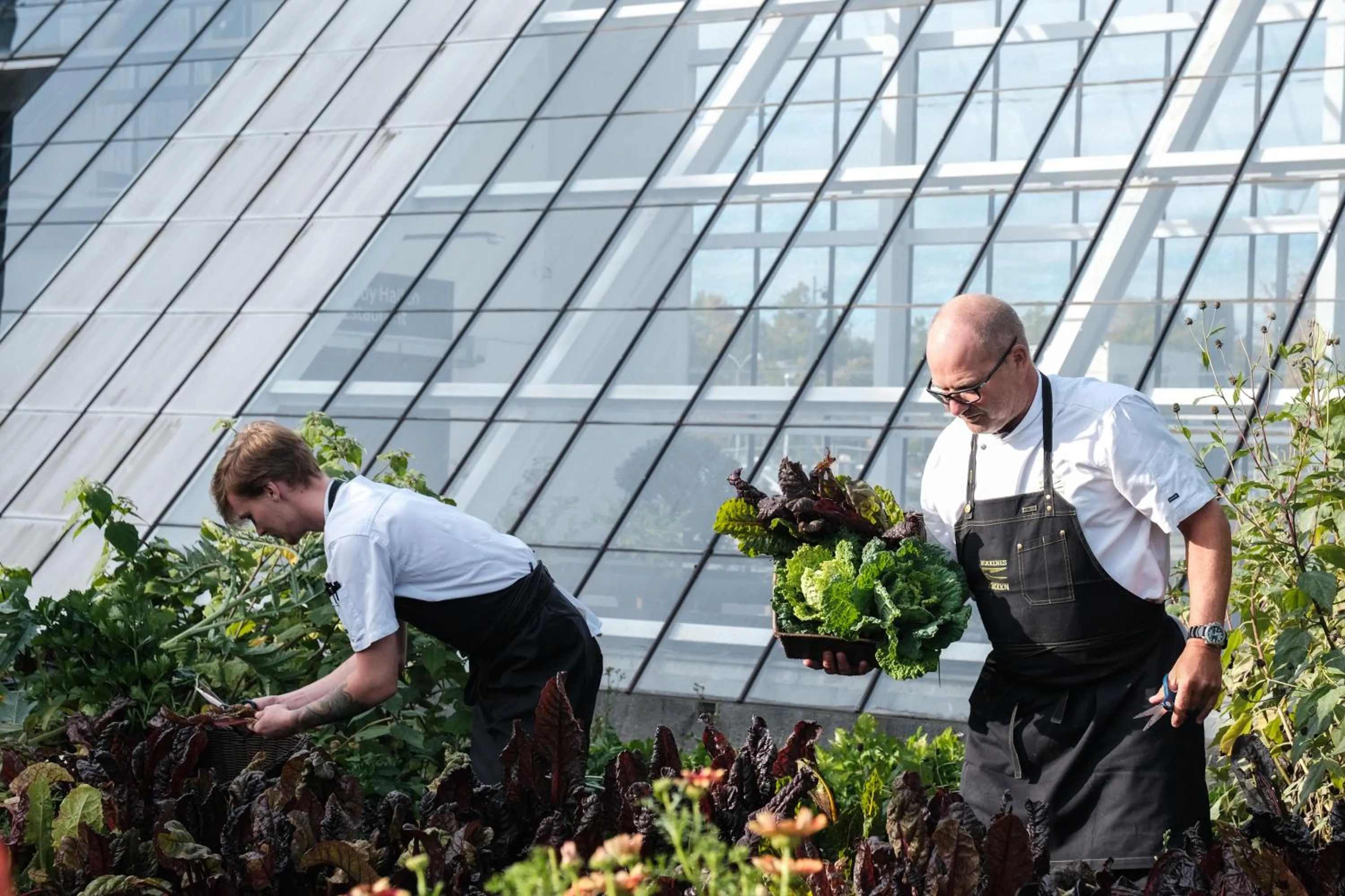 Garden in Idrættens Hus Hotel og Konference