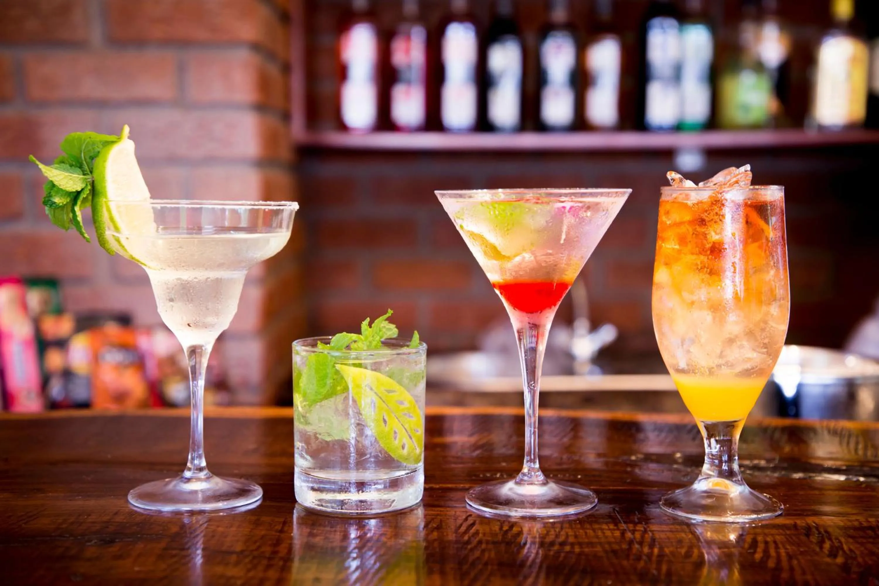 Lounge or bar in Livingstone Lodge