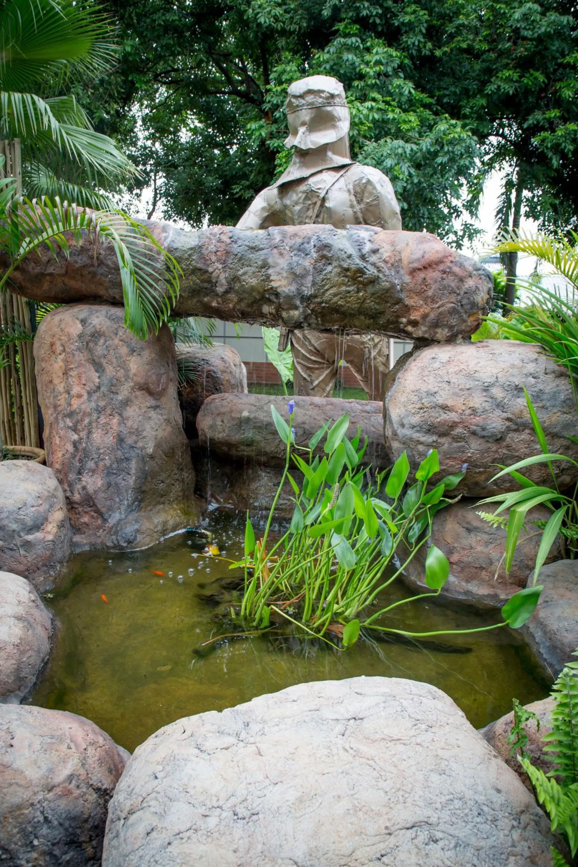 Garden in Livingstone Lodge